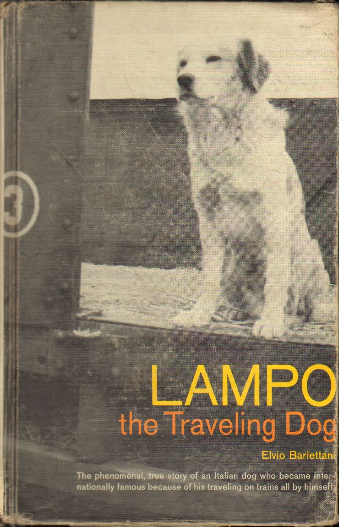 Lampo, the traveling dog used book depot