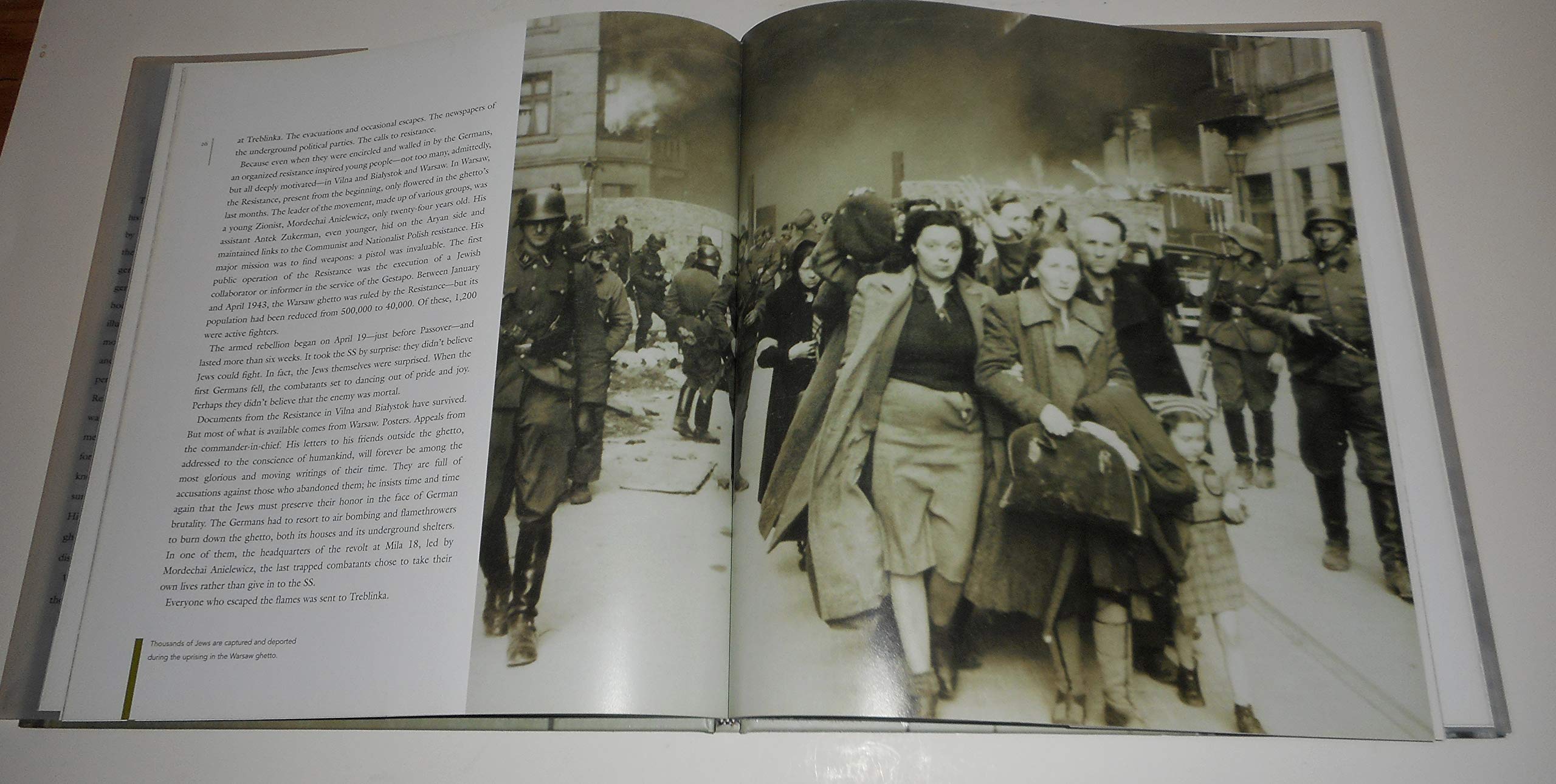 After the Darkness: Reflections on the Holocaust used book depot