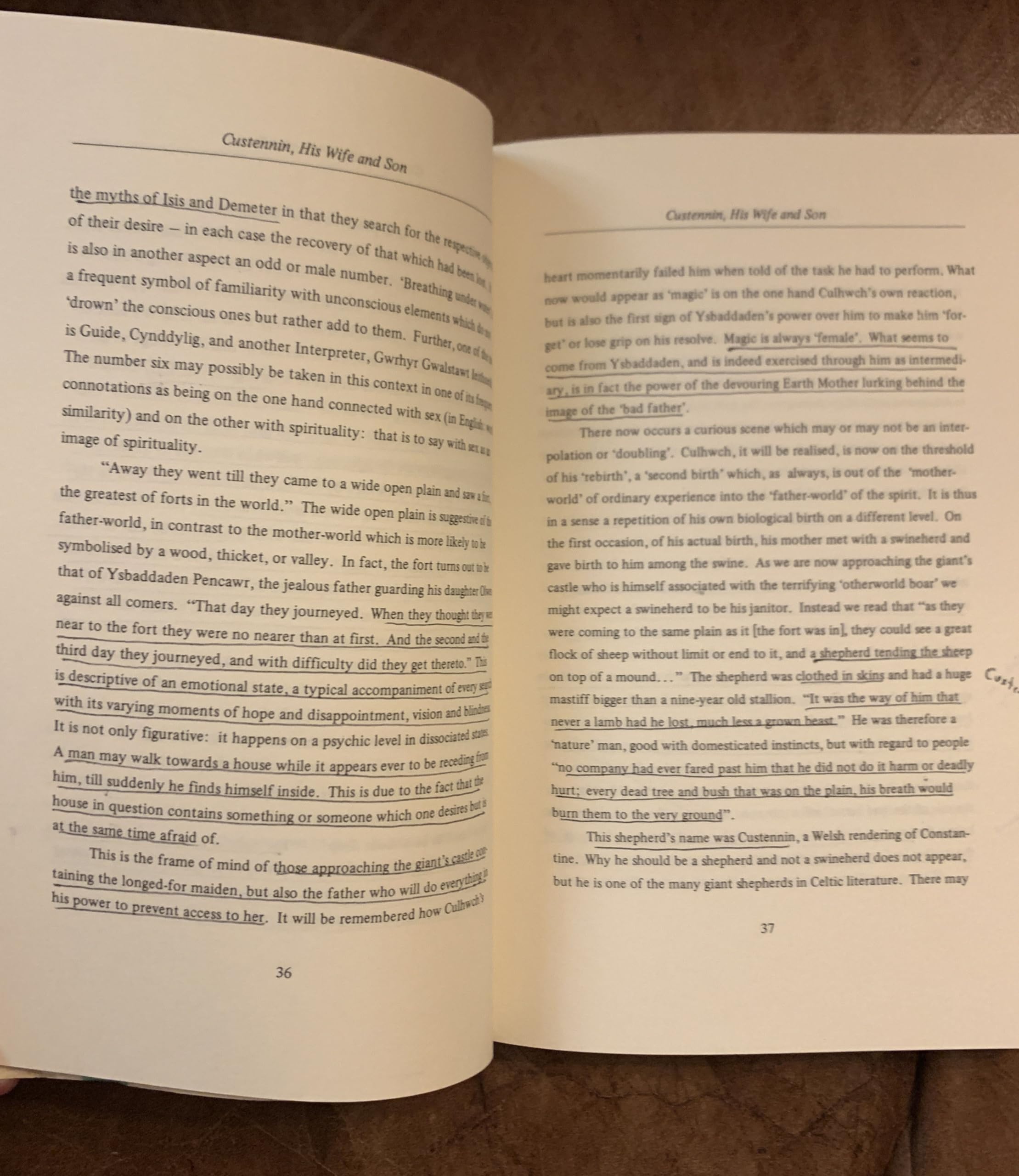 Celtic Quest: Sexuality and Soul in Individuation (SEMINAR SERIES) used book depot