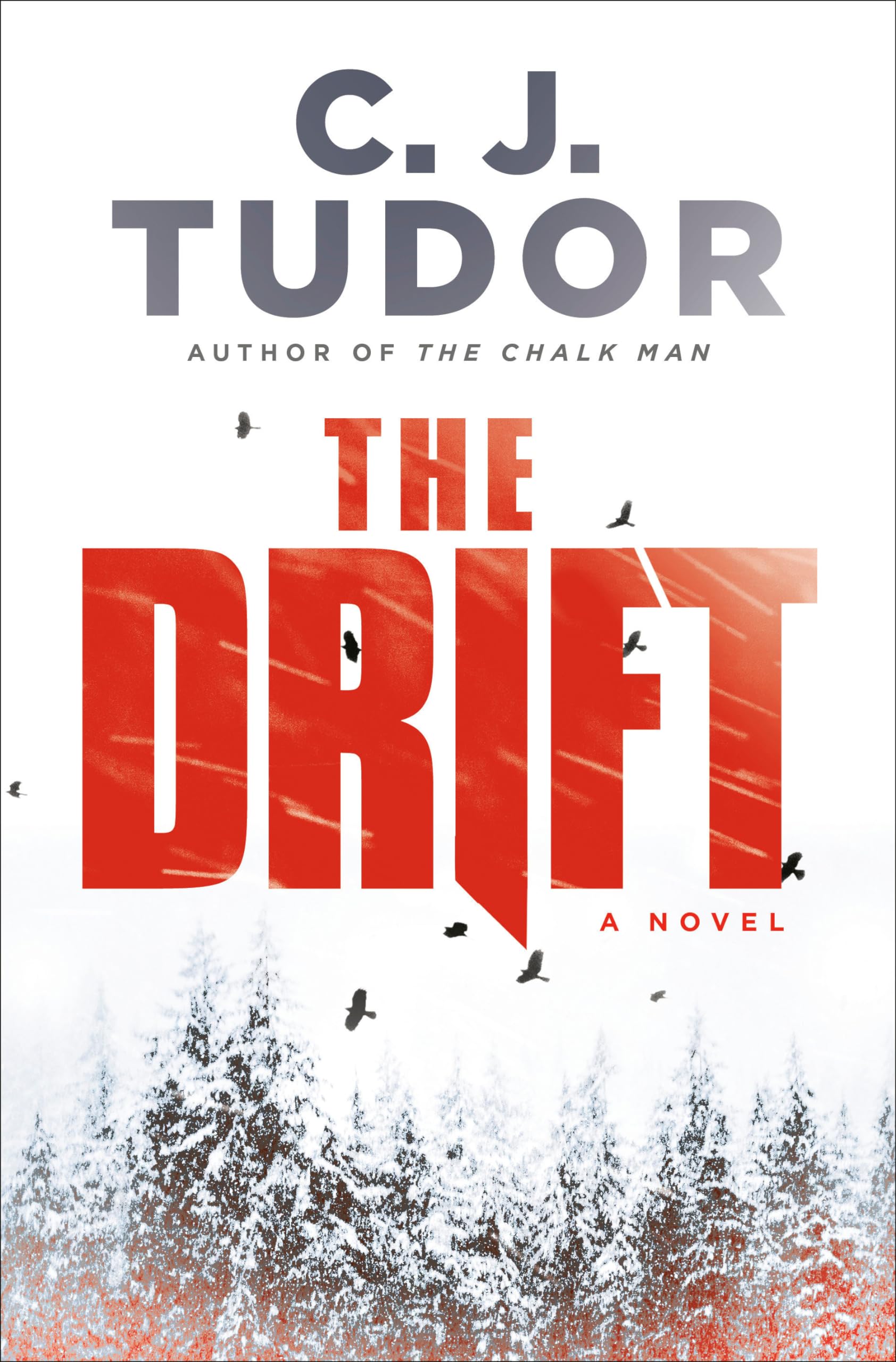 The Drift: A Novel used book depot