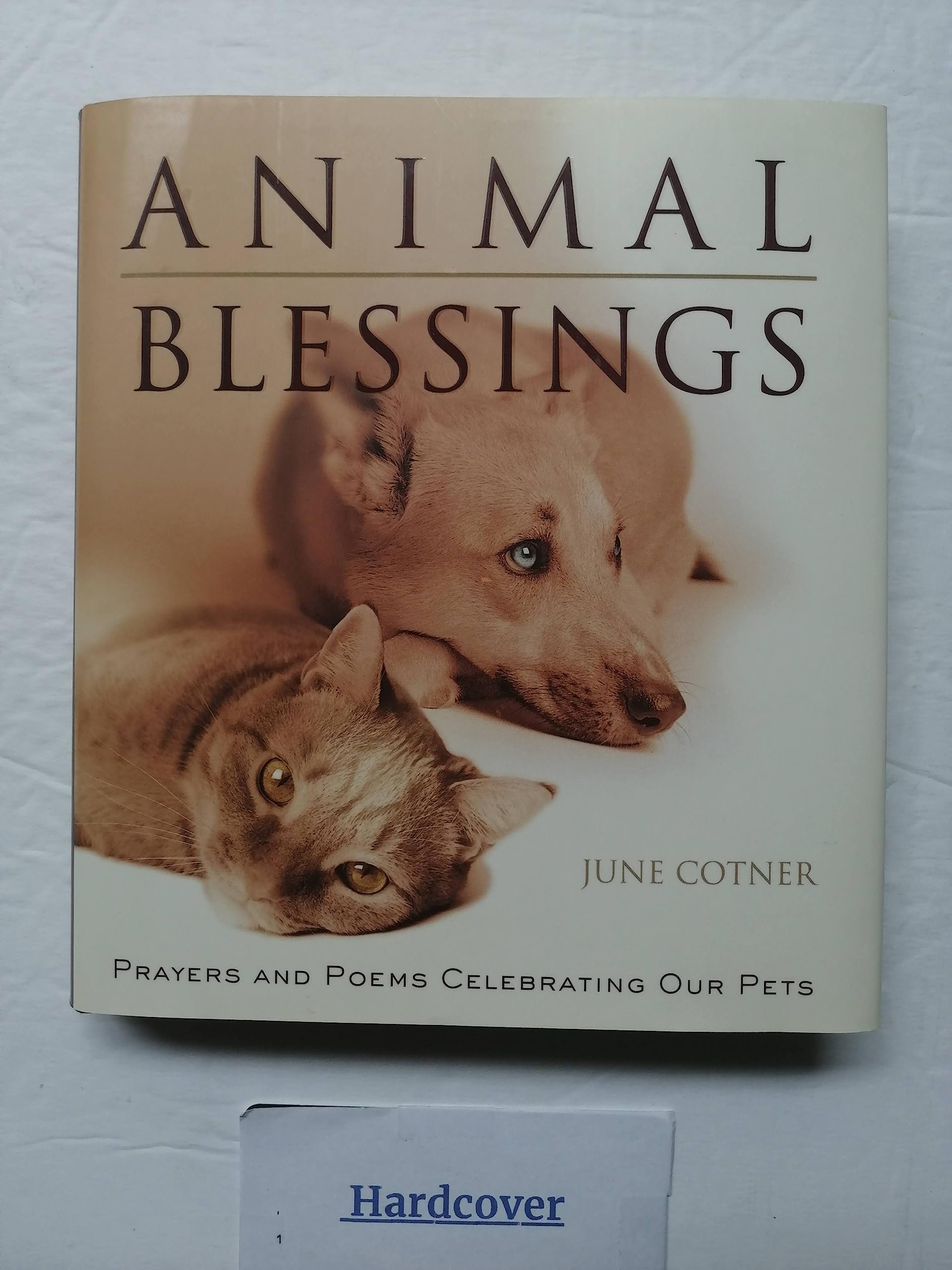 Animal Blessings: Prayers and Poems Celebrating Our Pets used book depot
