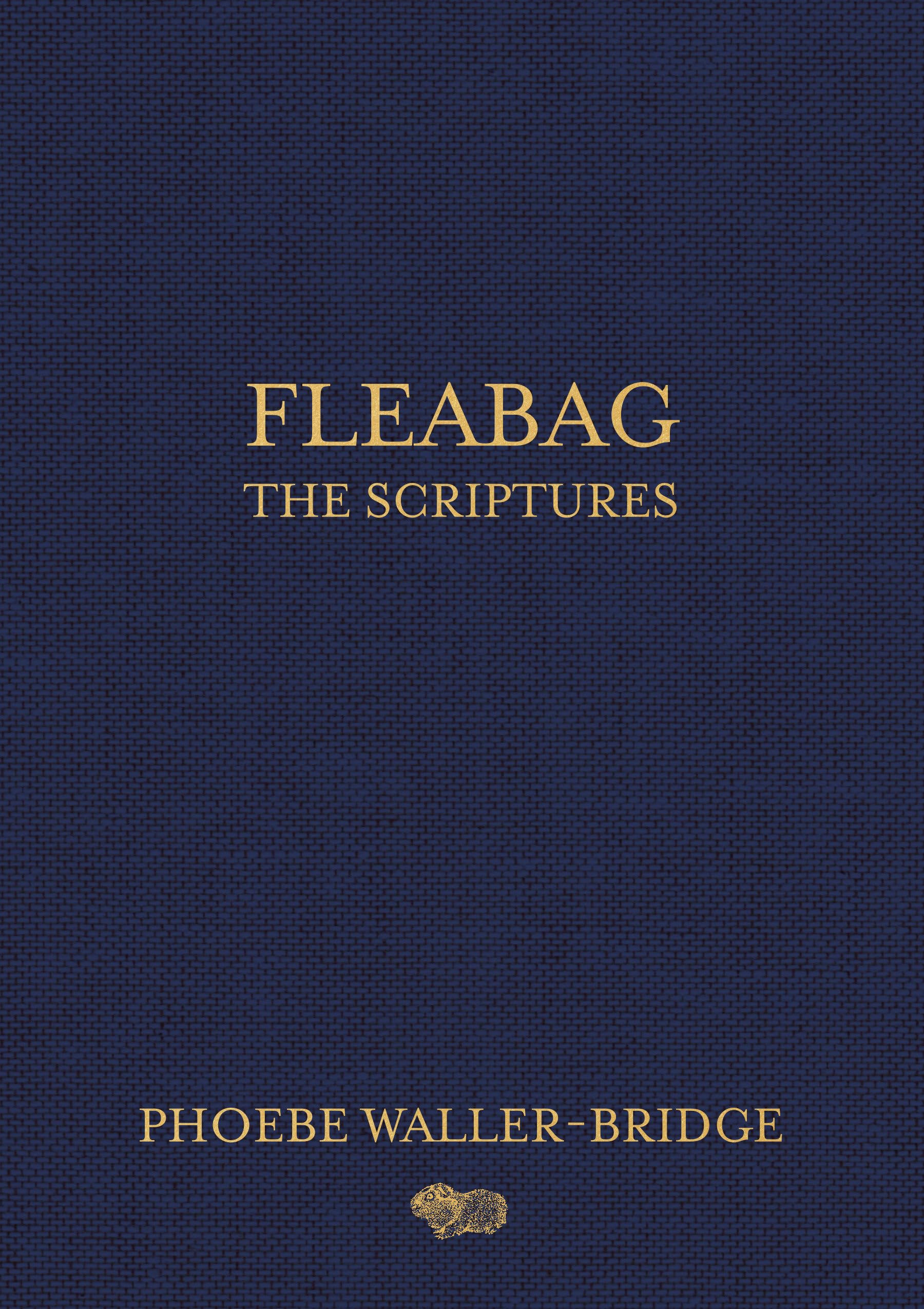 Fleabag: The Scriptures used book depot
