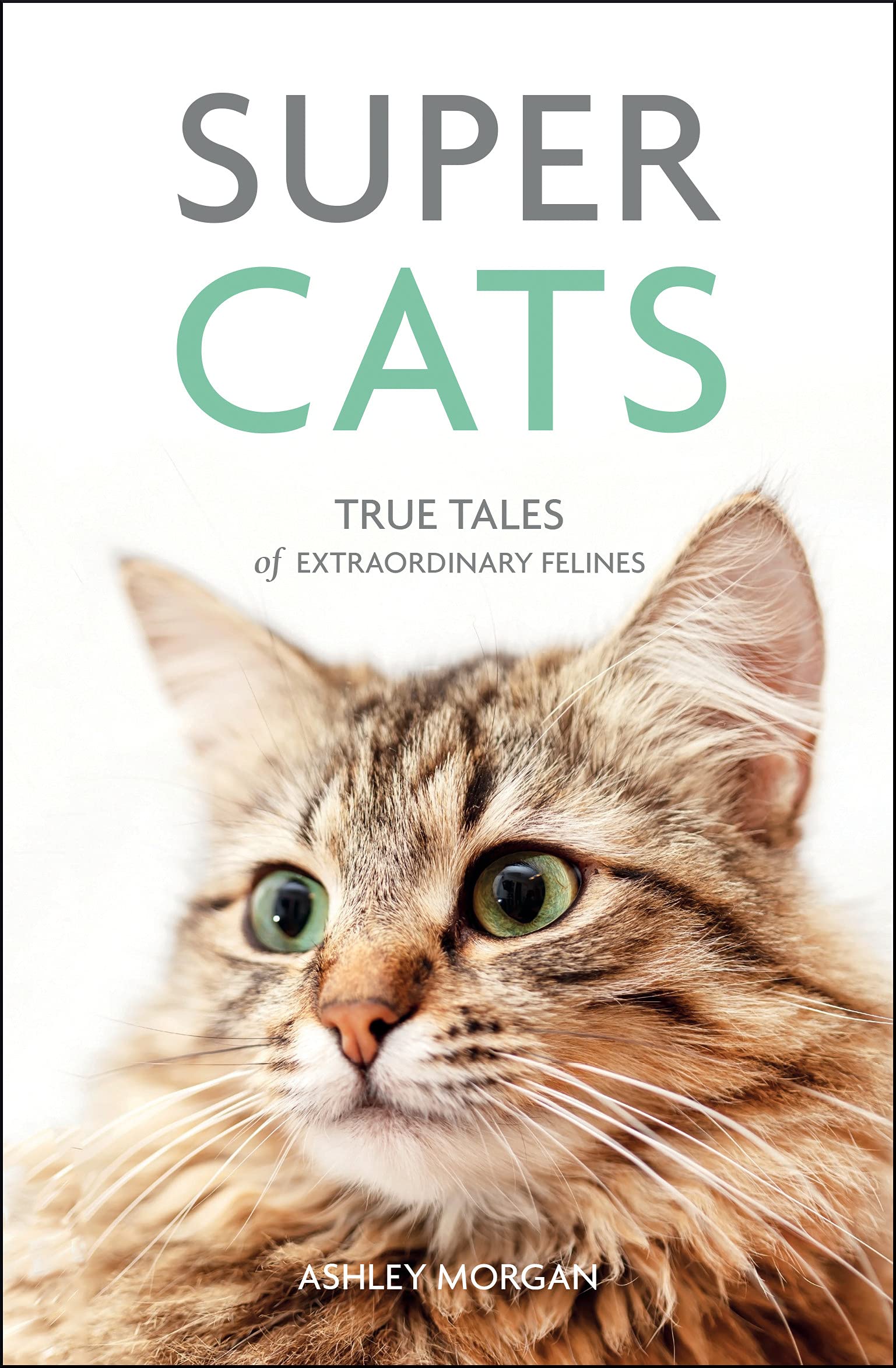 Super Cats: True Tales of Extraordinary Felines used book depot