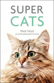 Super Cats: True Tales of Extraordinary Felines used book depot