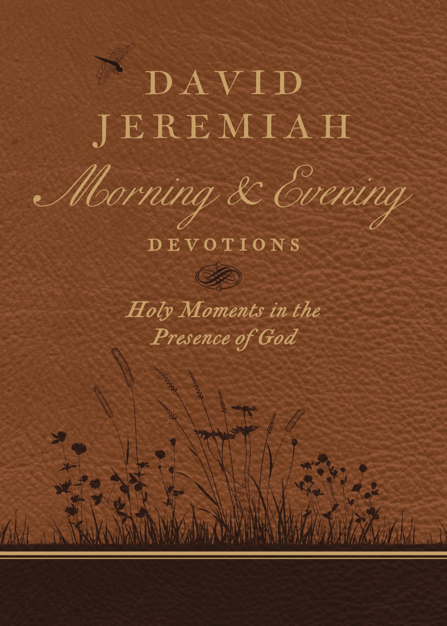 David Jeremiah Morning and Evening Devotions: Holy Moments in the Presence of God used book depot