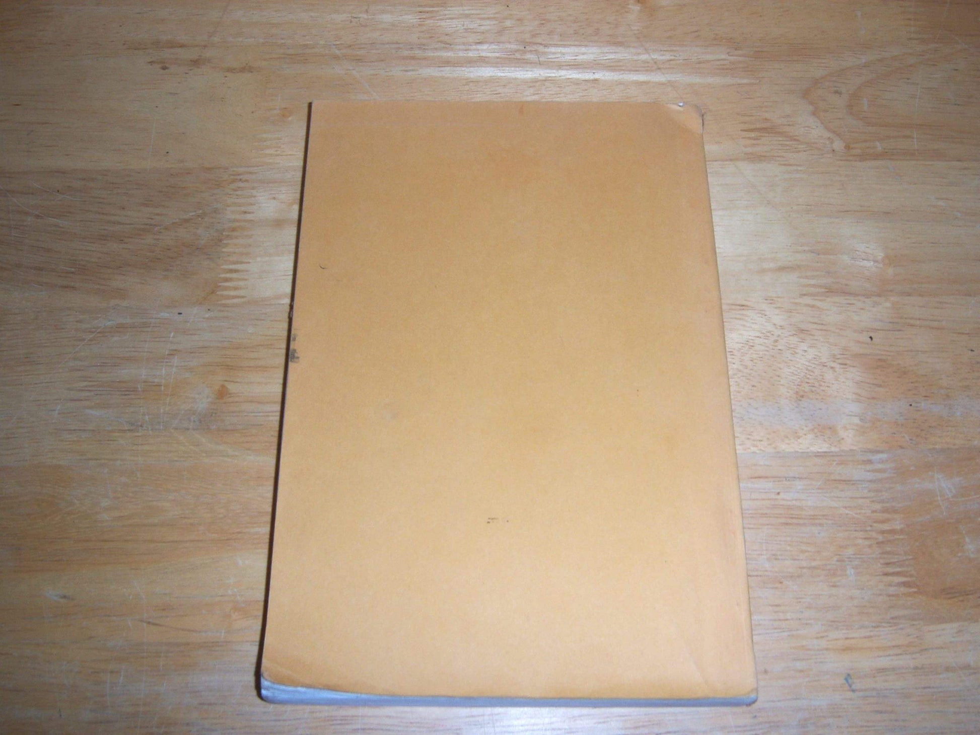 Portrait in Sepia: A Novel used book depot