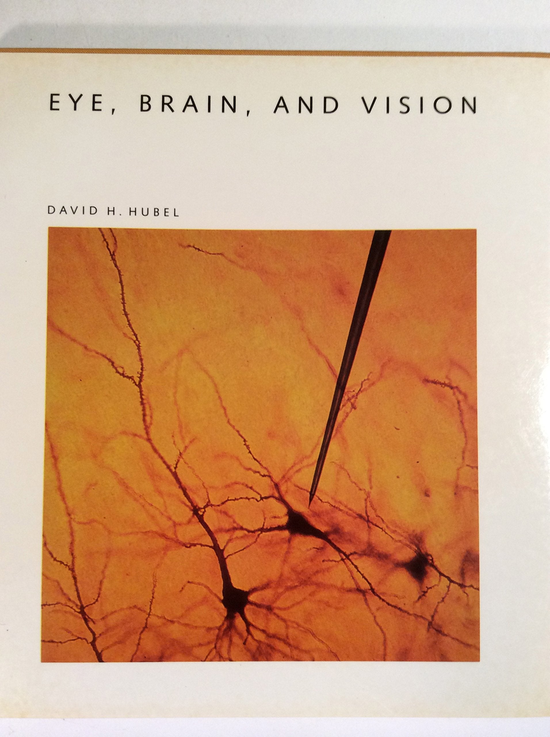 Eye, Brain, and Vision (Scientific American Library) used book depot