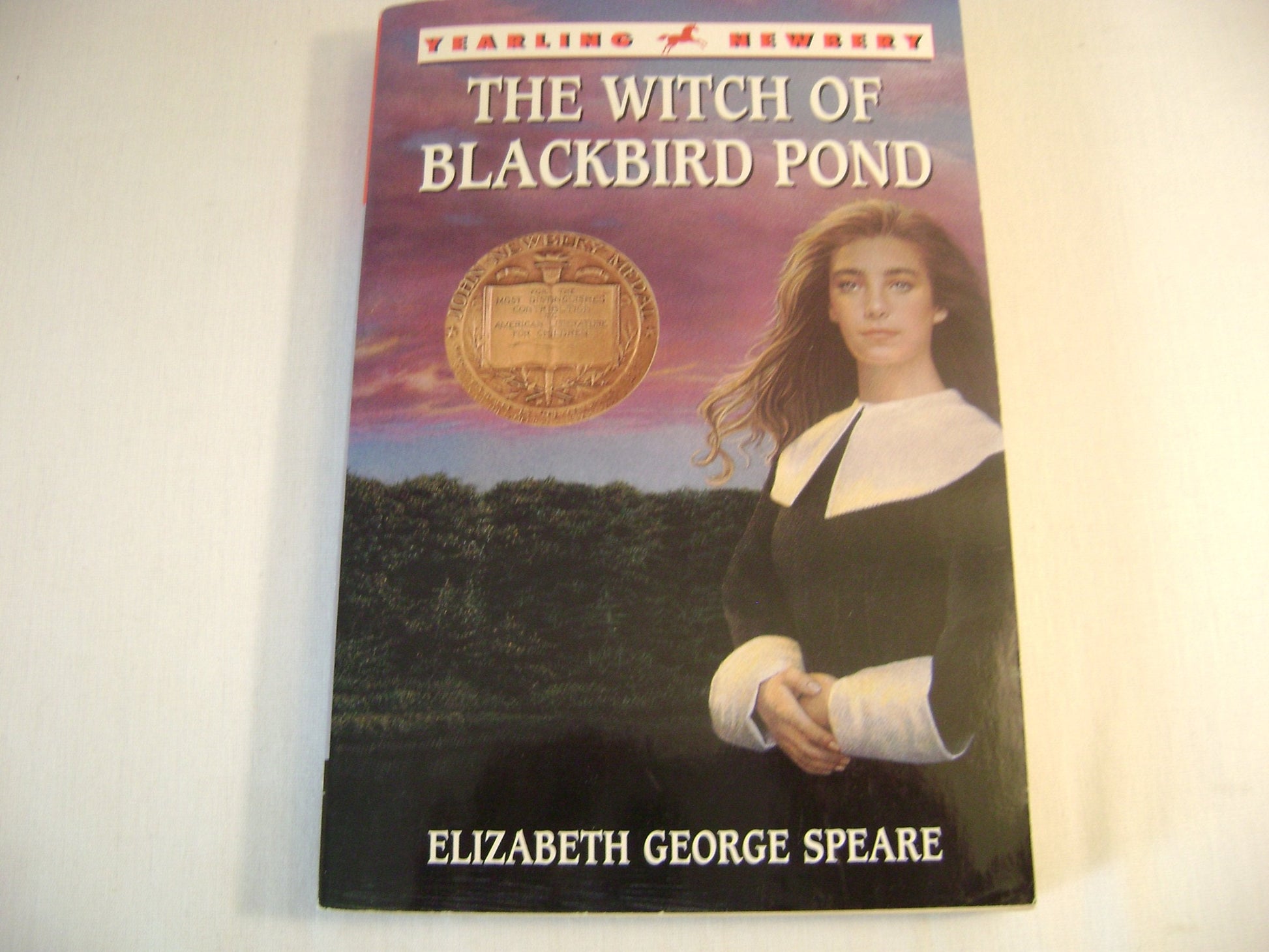 The Witch of Blackbird Pond used book depot