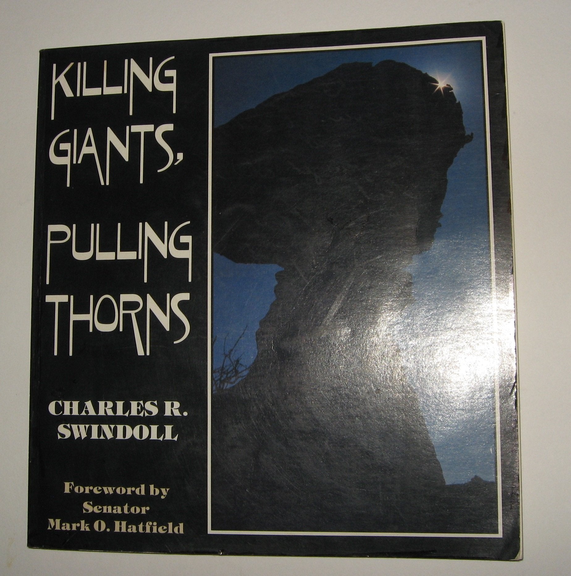 Killing Giants Pulling Thorns used book depot
