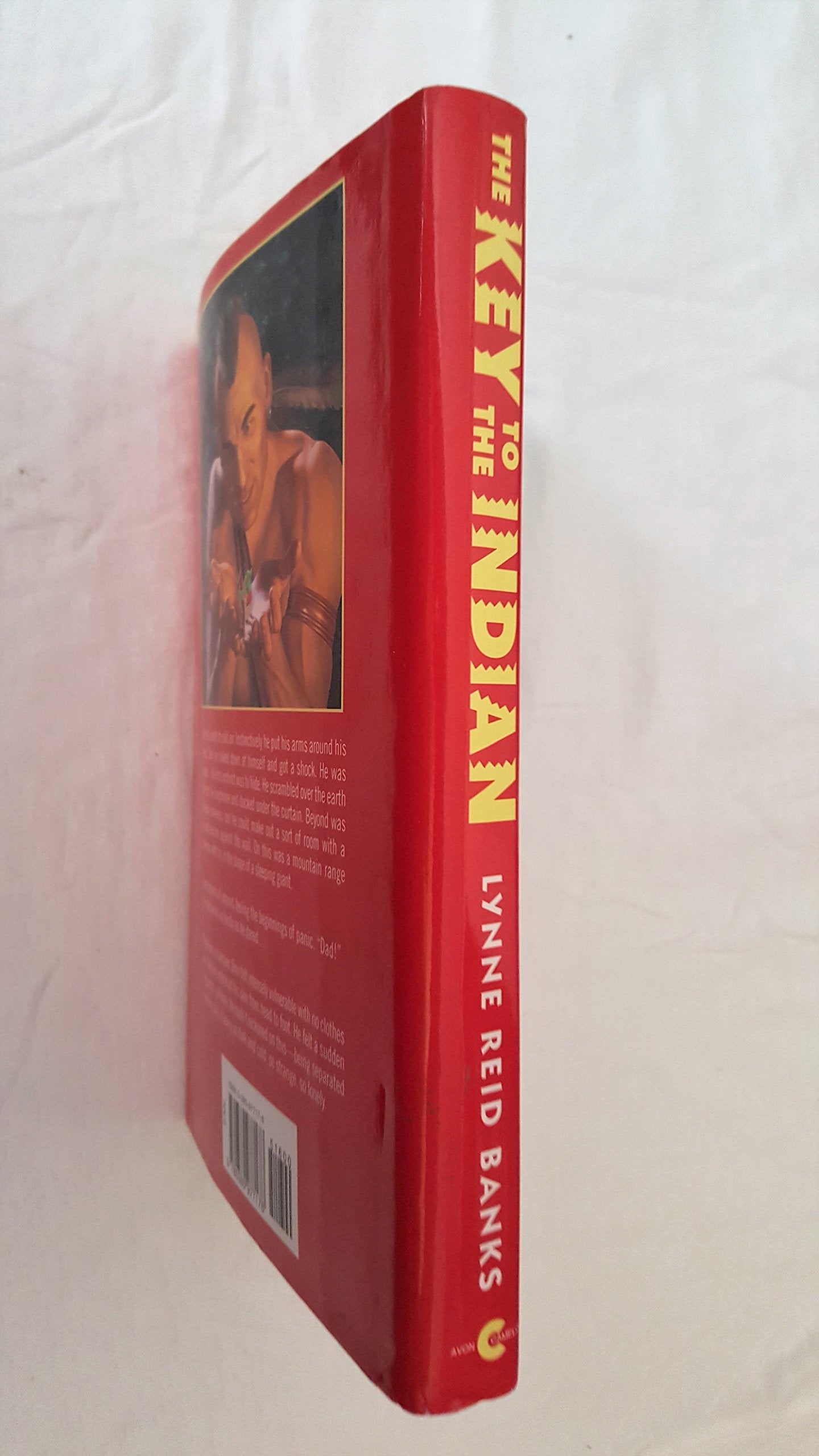 The Key to the Indian (An Avon Camelot Book) used book depot