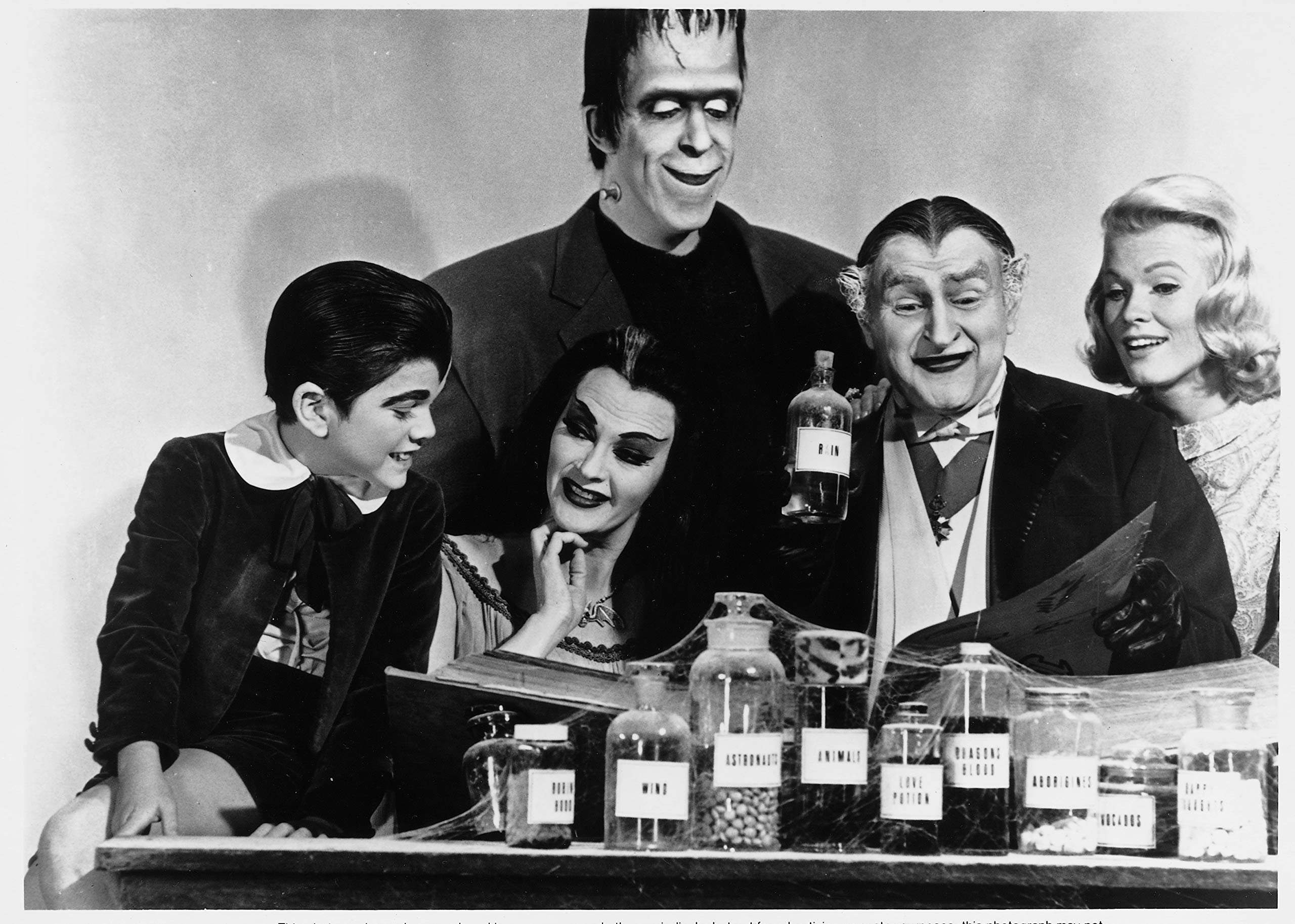 The Munsters: The Complete Series [DVD]