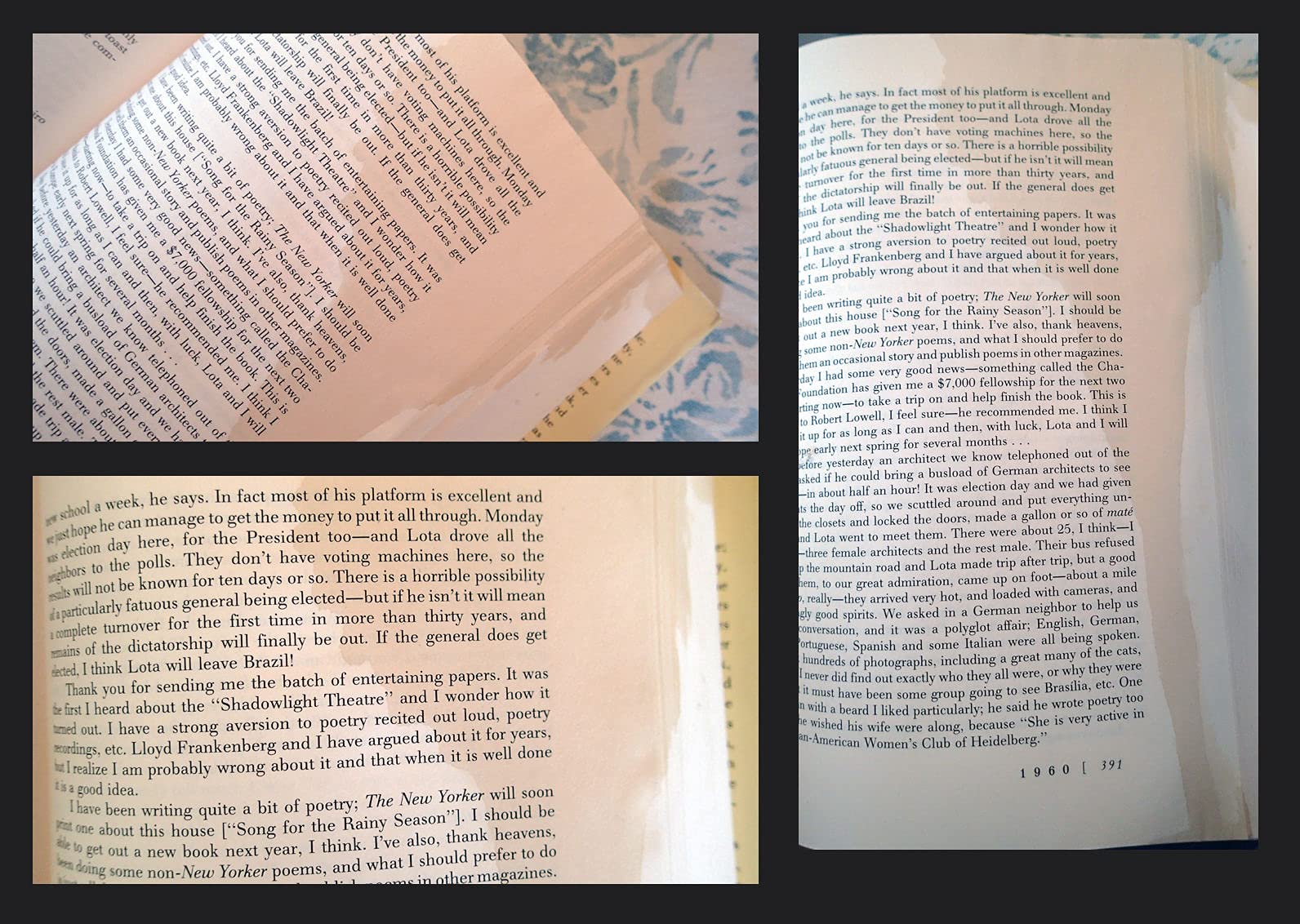One Art: Letters of Elizabeth Bishop used book depot