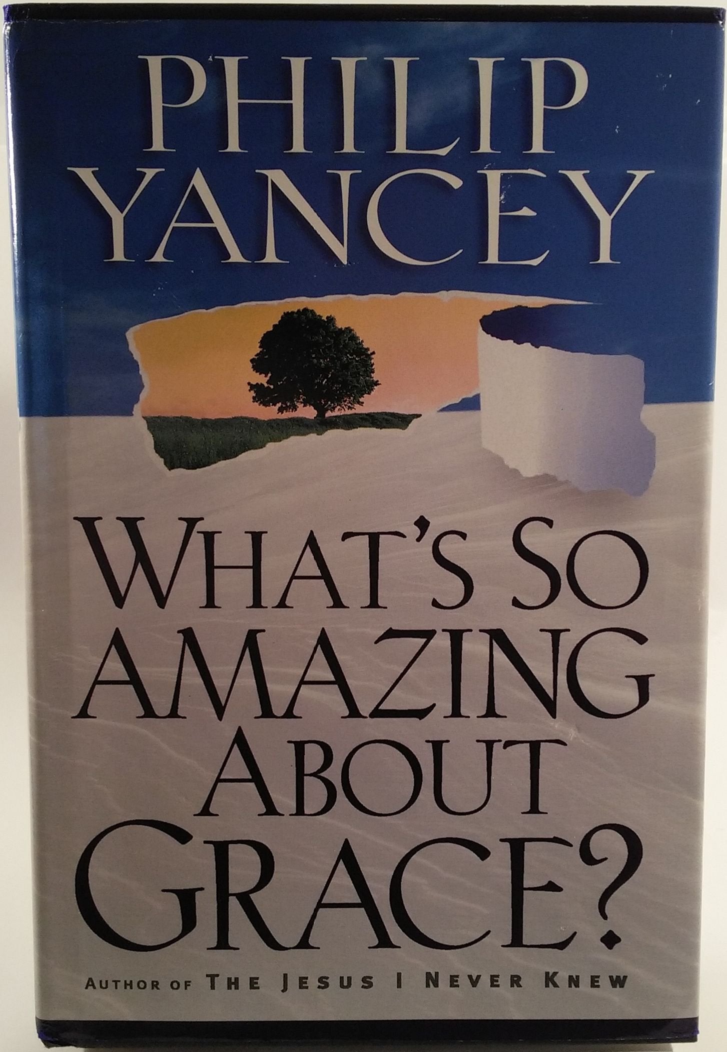 What's So Amazing About Grace? used book depot