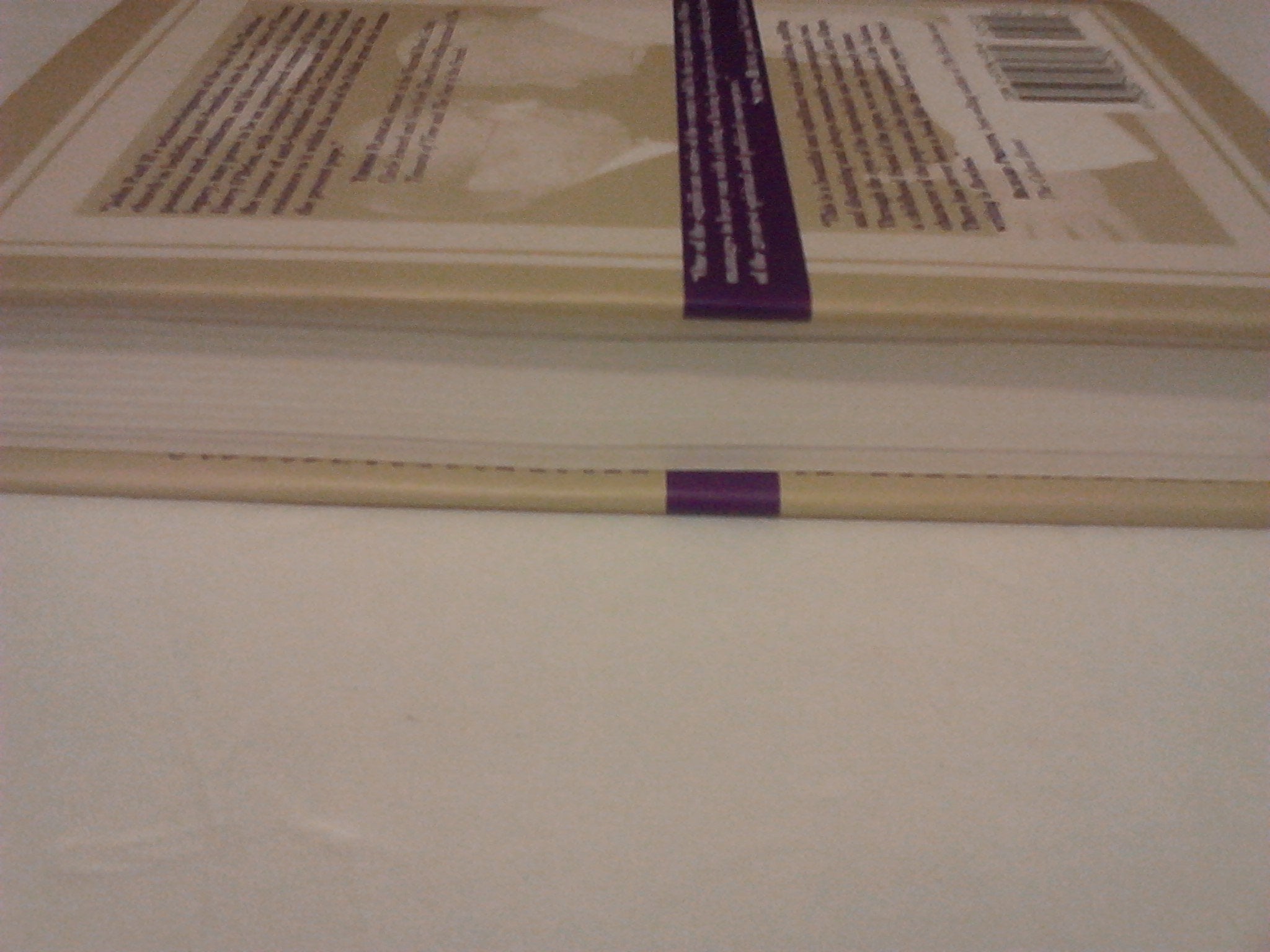 The Hidden Pope: The Untold Story of a Lifelong Friendship That Is Changing the Relationship Between Catholics and Jews - The Personal Journey of John Paul II and Jerzy Kluger used book depot