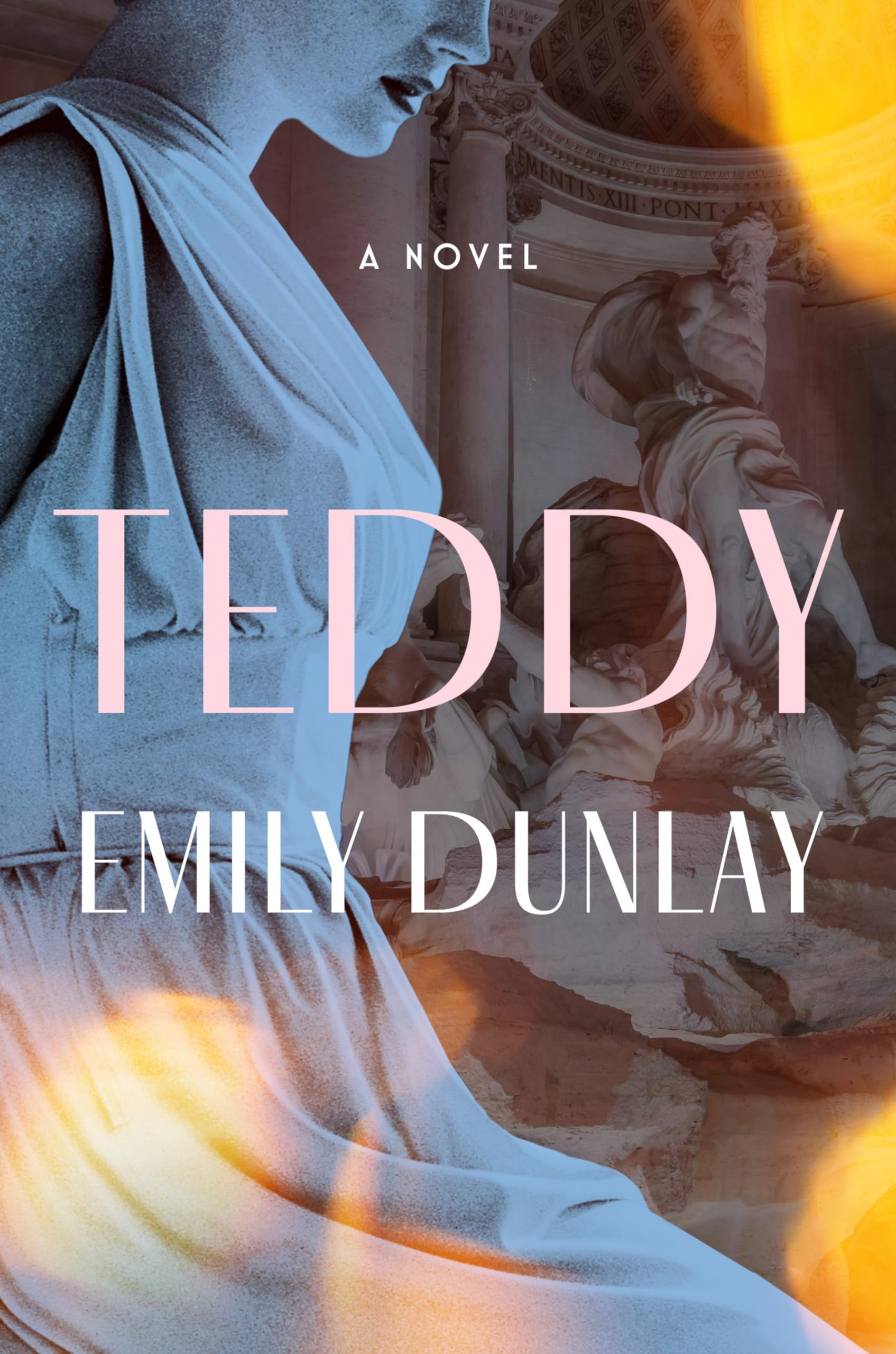Teddy: A Novel used book depot