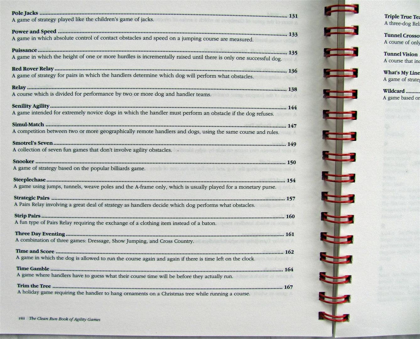Clean Run Book of Agility Games used book depot