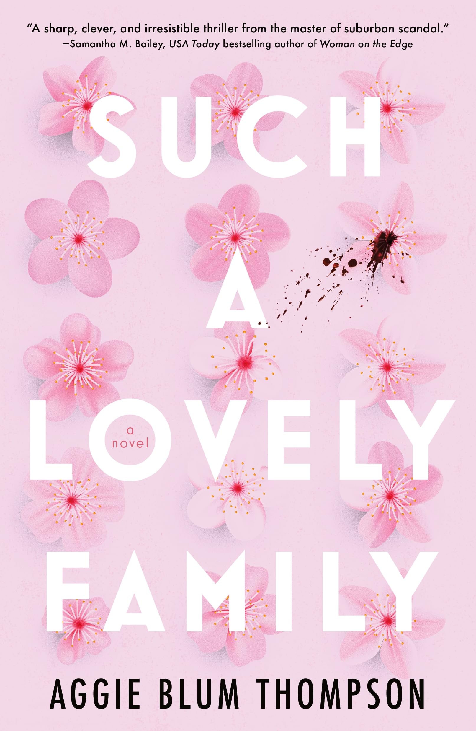 Such a Lovely Family used book depot