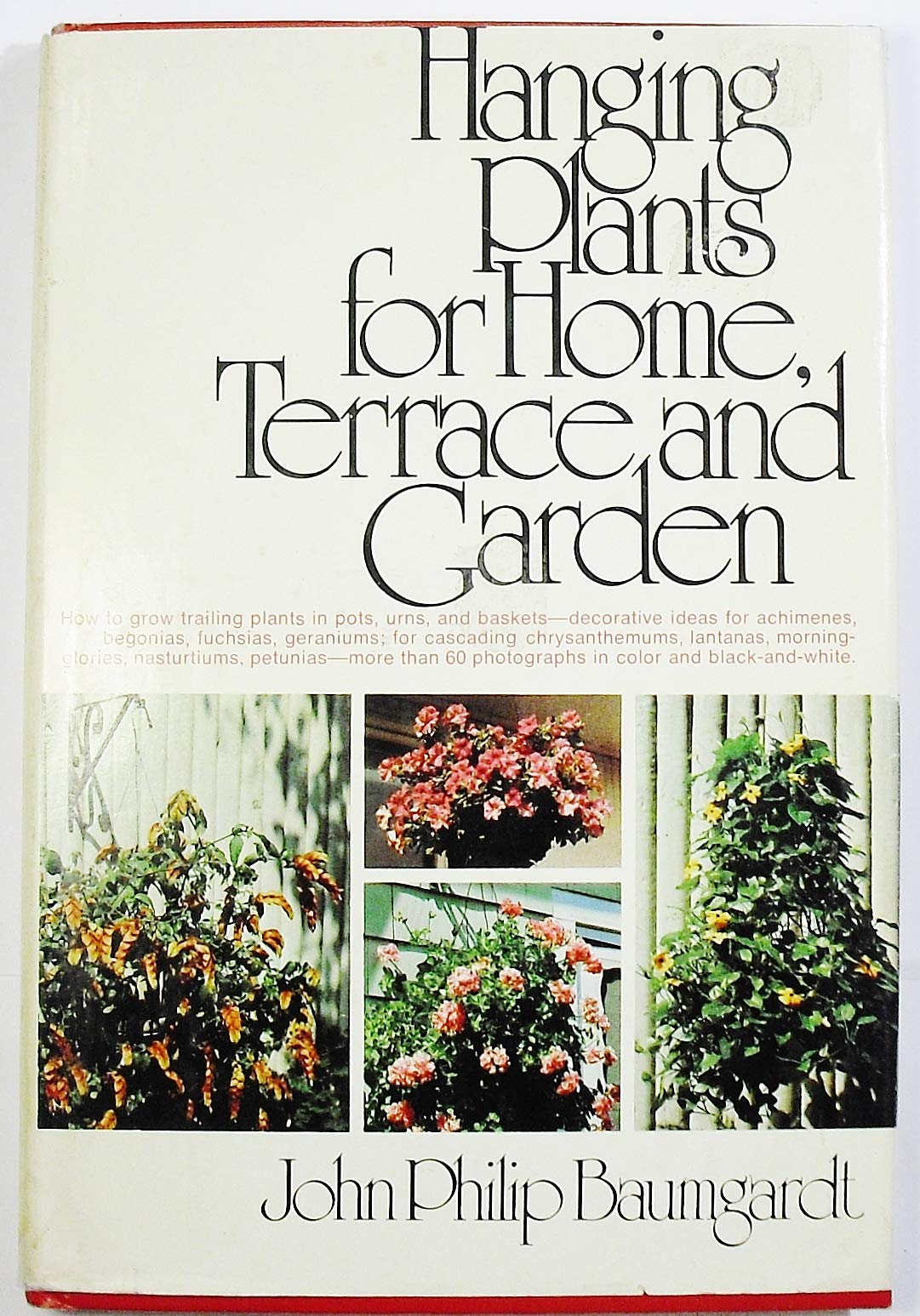 Hanging Plants for Home Terrace and Garden used book depot
