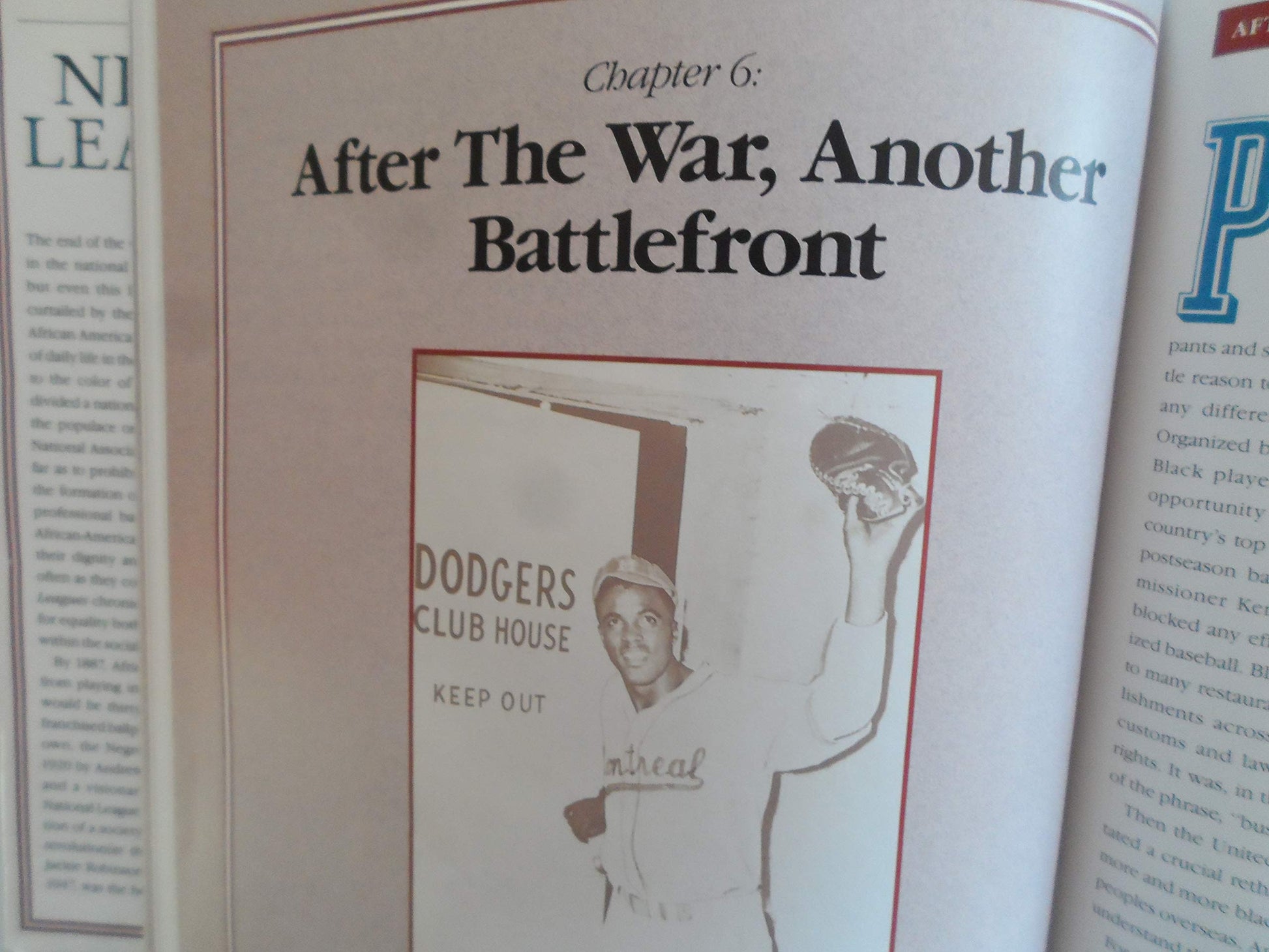 The Negro Leagues used book depot