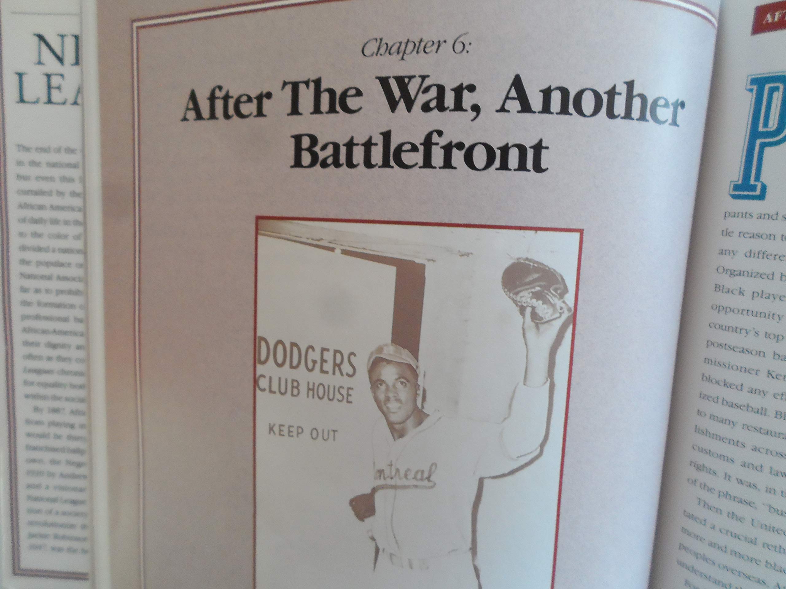The Negro Leagues used book depot