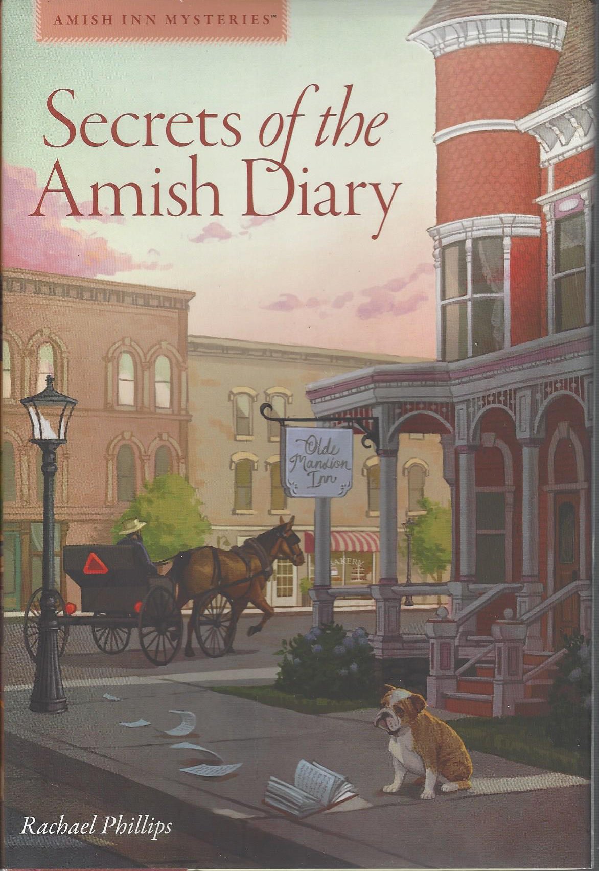 Secrets of the Amish Diary used book depot