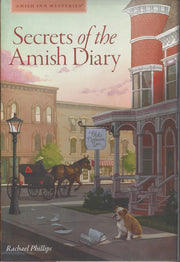 Secrets of the Amish Diary used book depot