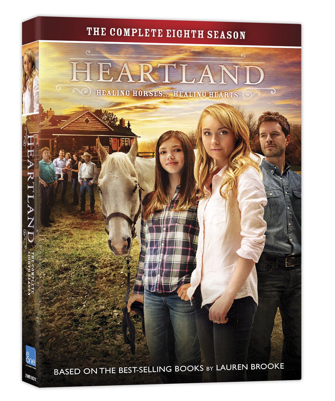 Heartland: Season 8 (Canadian Version) used book depot