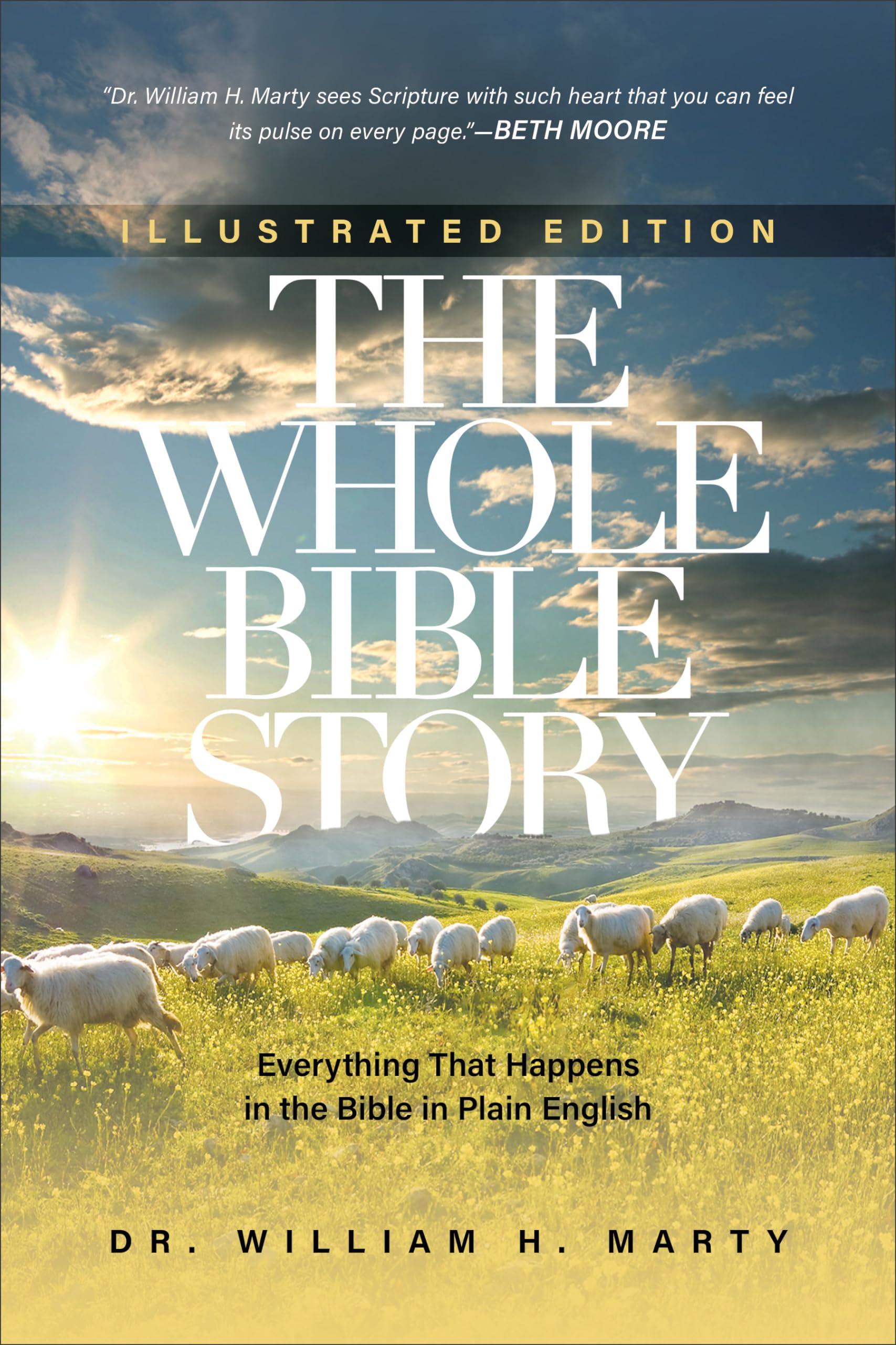 The Whole Bible Story: Everything That Happens in the Bible in Plain English used book depot
