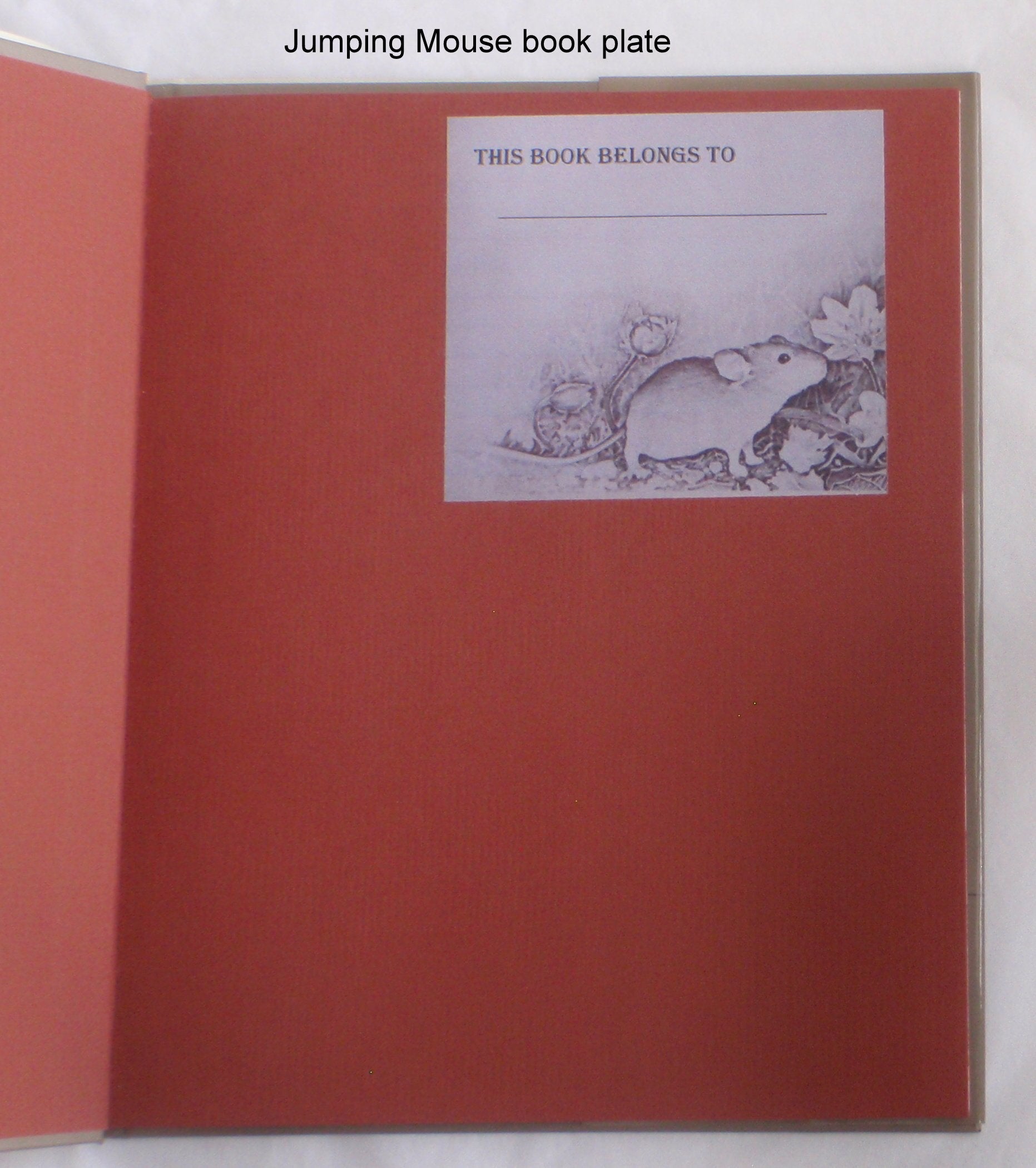 The Story of Jumping Mouse: A Caldecott Honor Award Winner used book depot