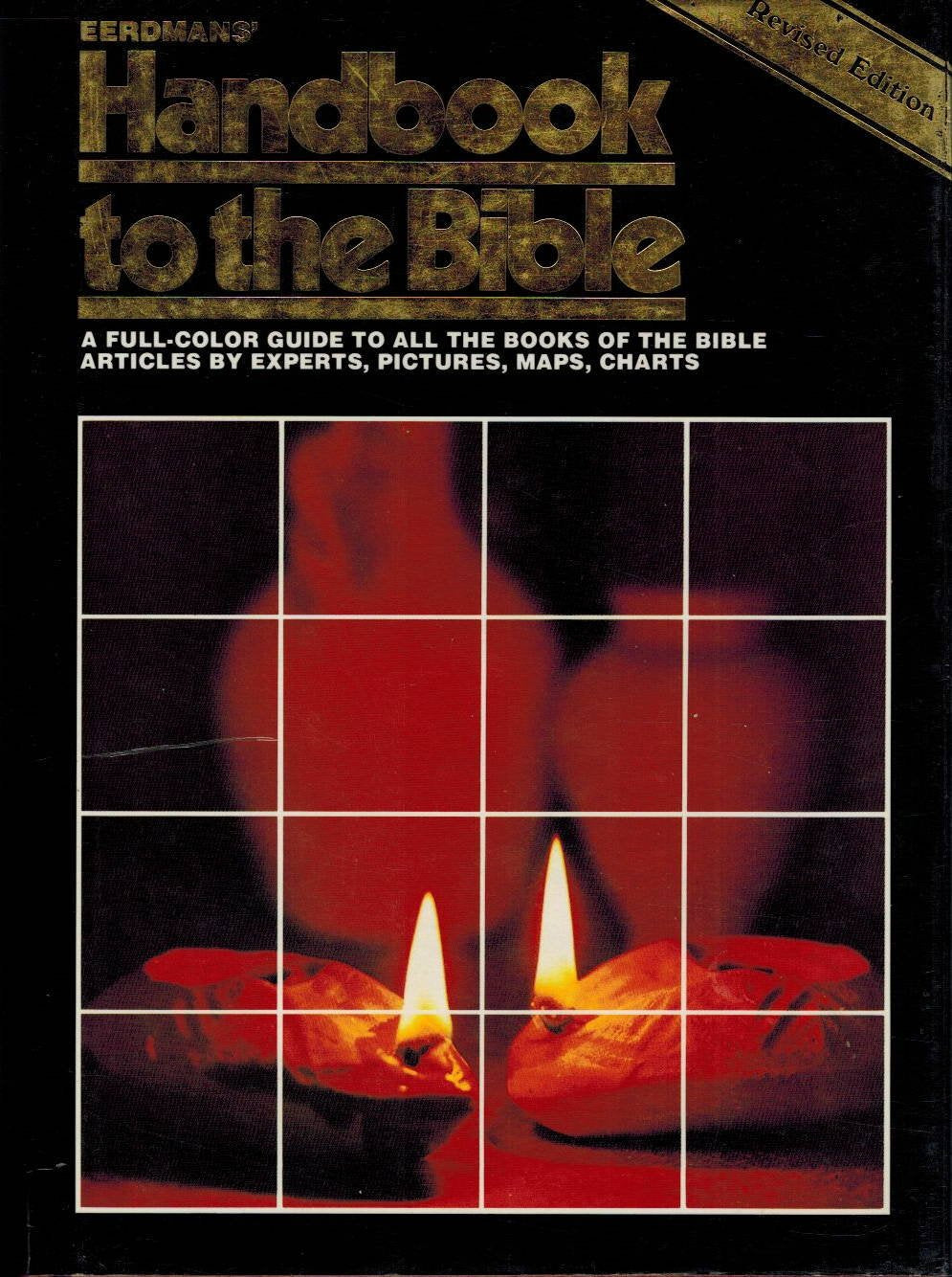 Eerdmans' Handbook to the Bible used book depot