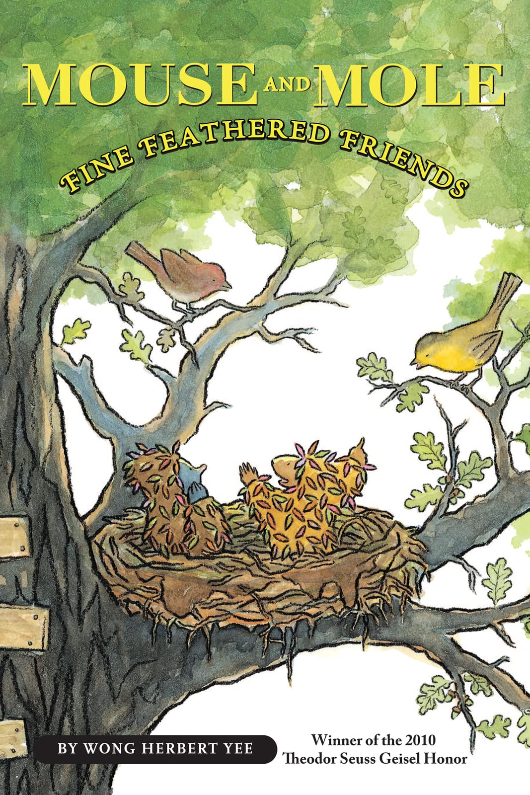 Mouse and Mole: Fine Feathered Friends (A Mouse and Mole Story) used book depot