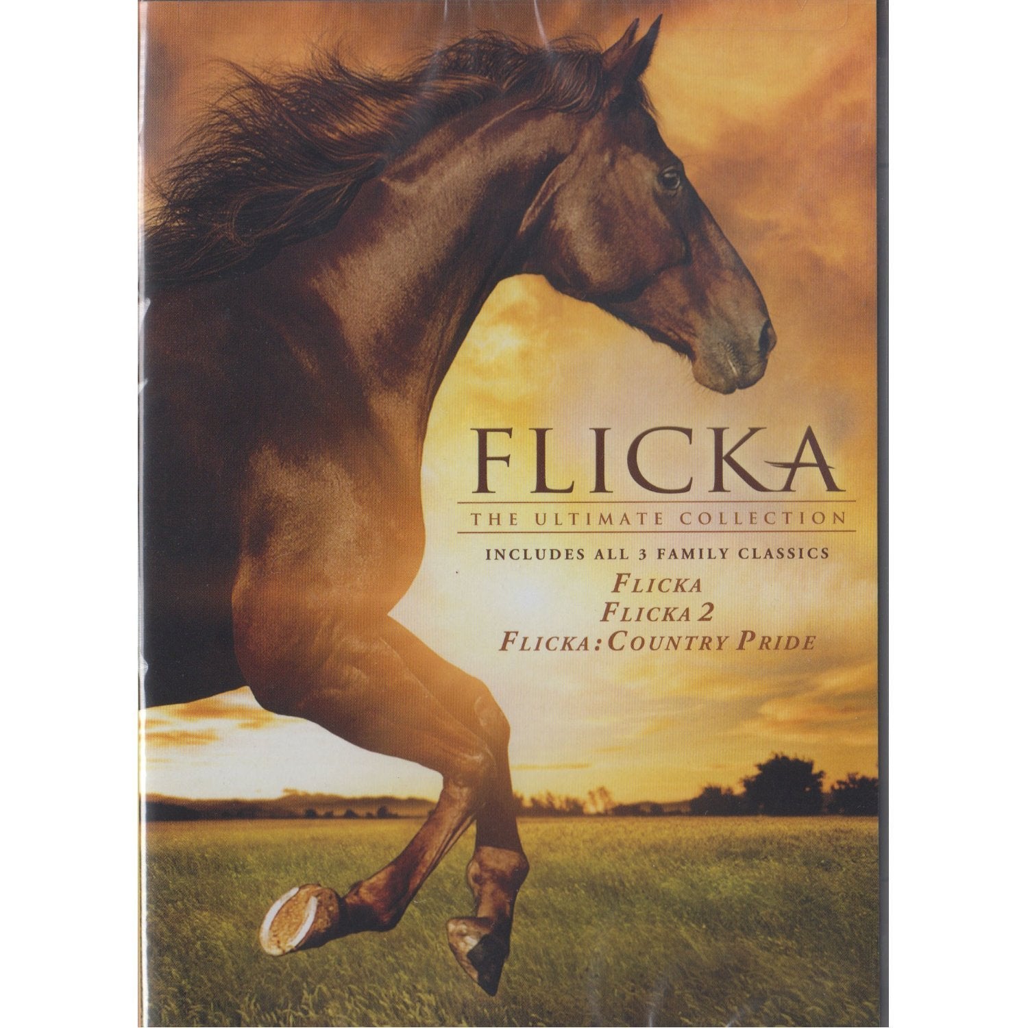 Flicka / Flicka 2 / Flicka Country Pride: Flicka Ultimate Collection DVD Set used book depot