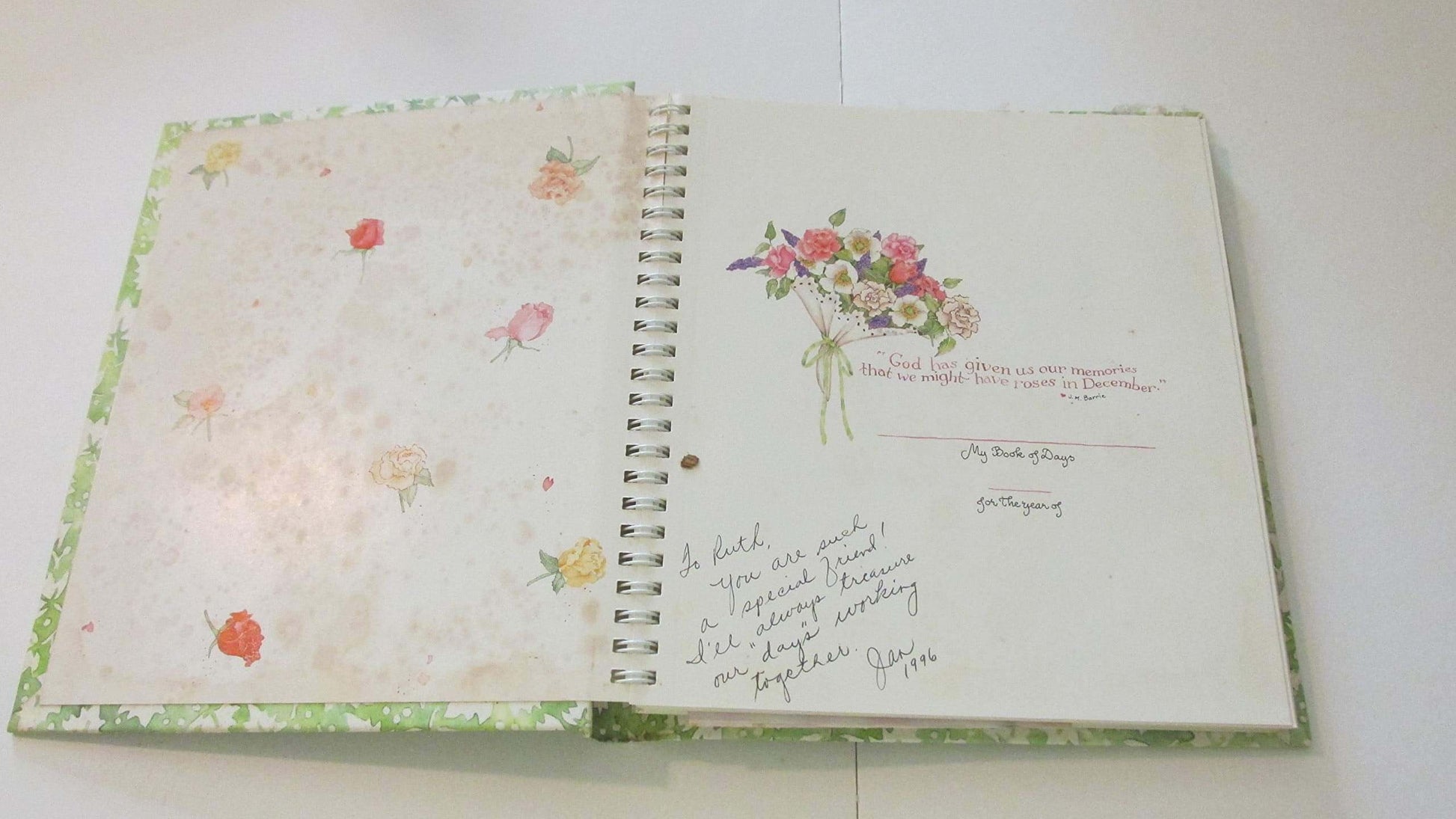 Days from the Heart of the Home used book depot