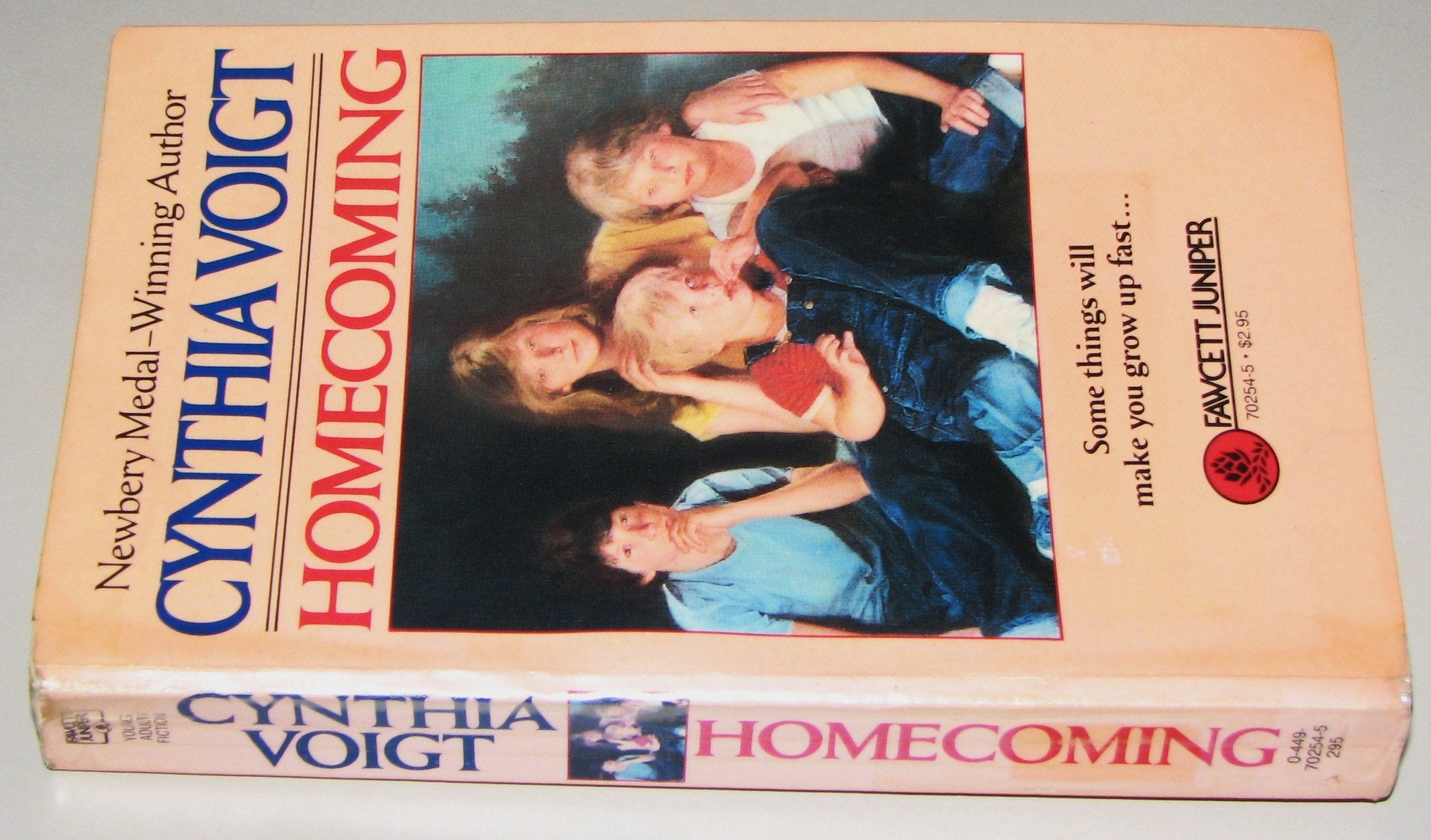 Homecoming used book depot