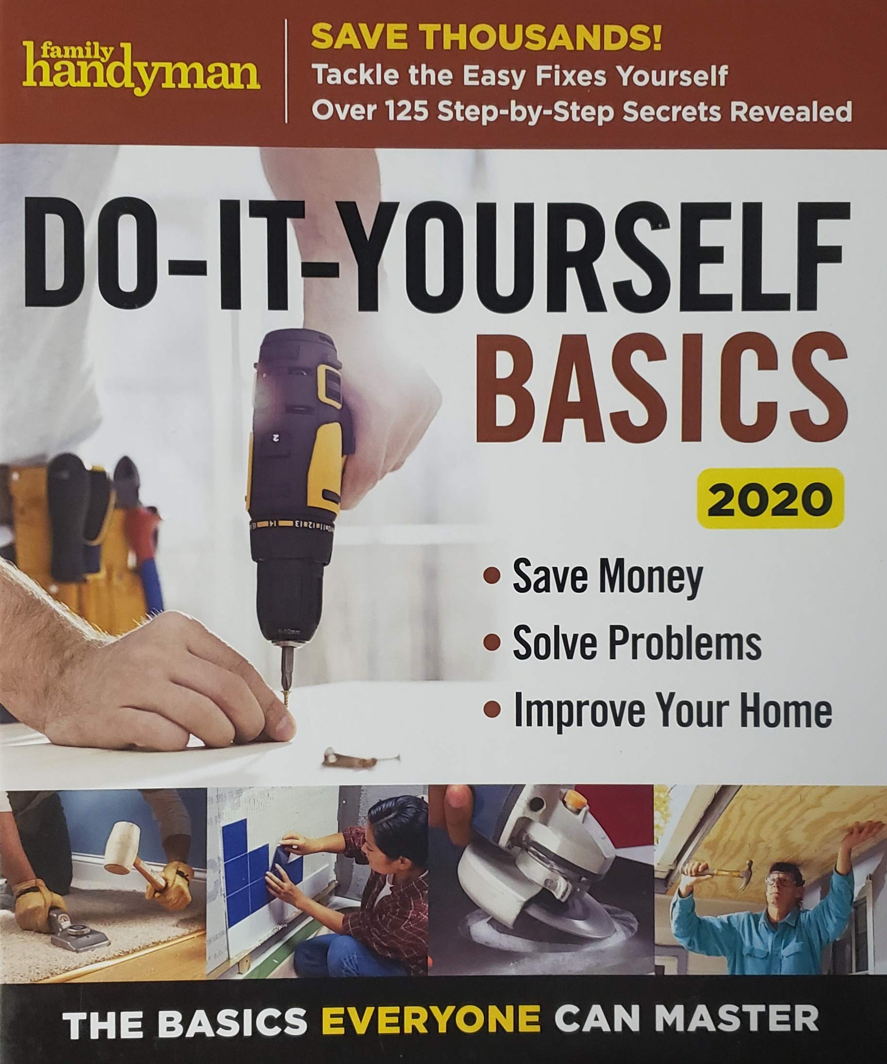 Do-It-Yourself Basics 2020 used book depot