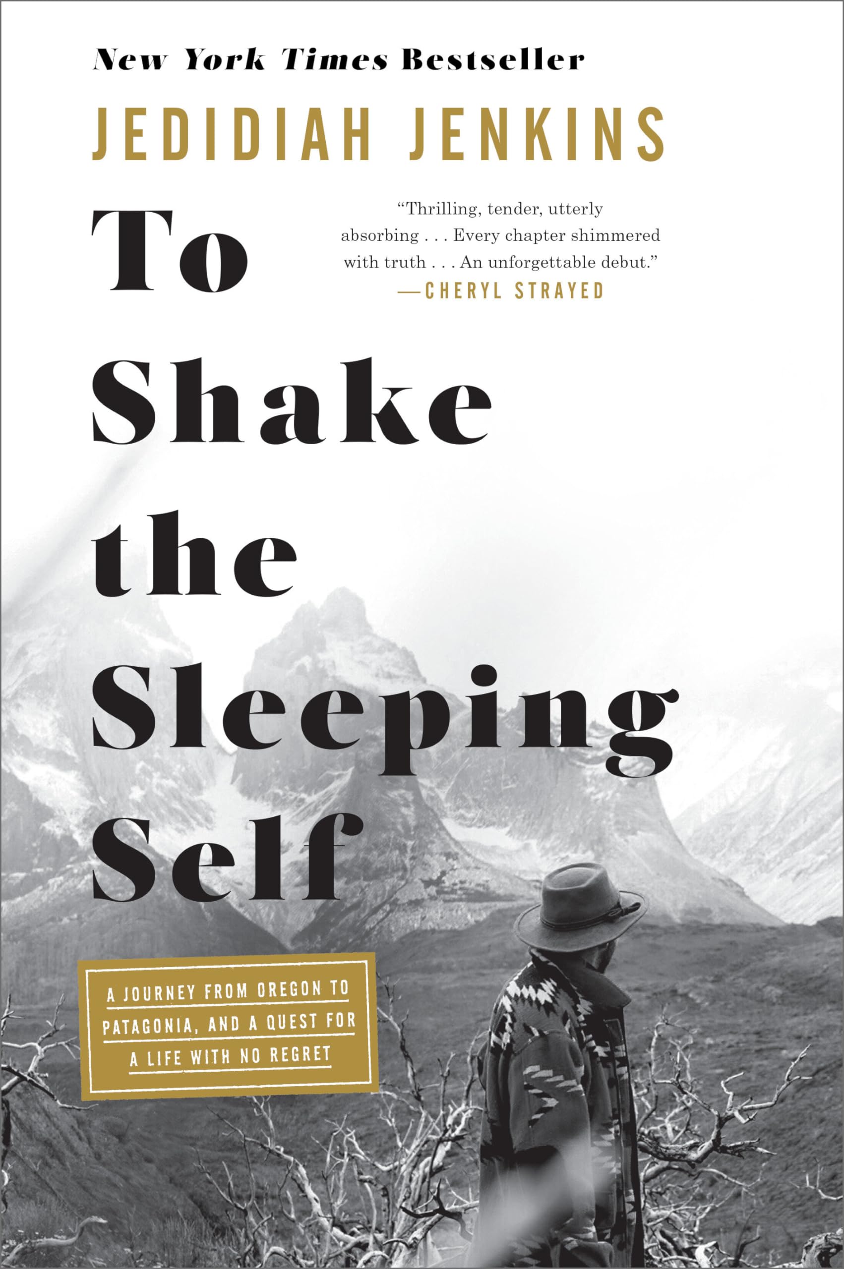 To Shake the Sleeping Self: A Journey from Oregon to Patagonia, and a Quest for a Life with No Regret used book depot