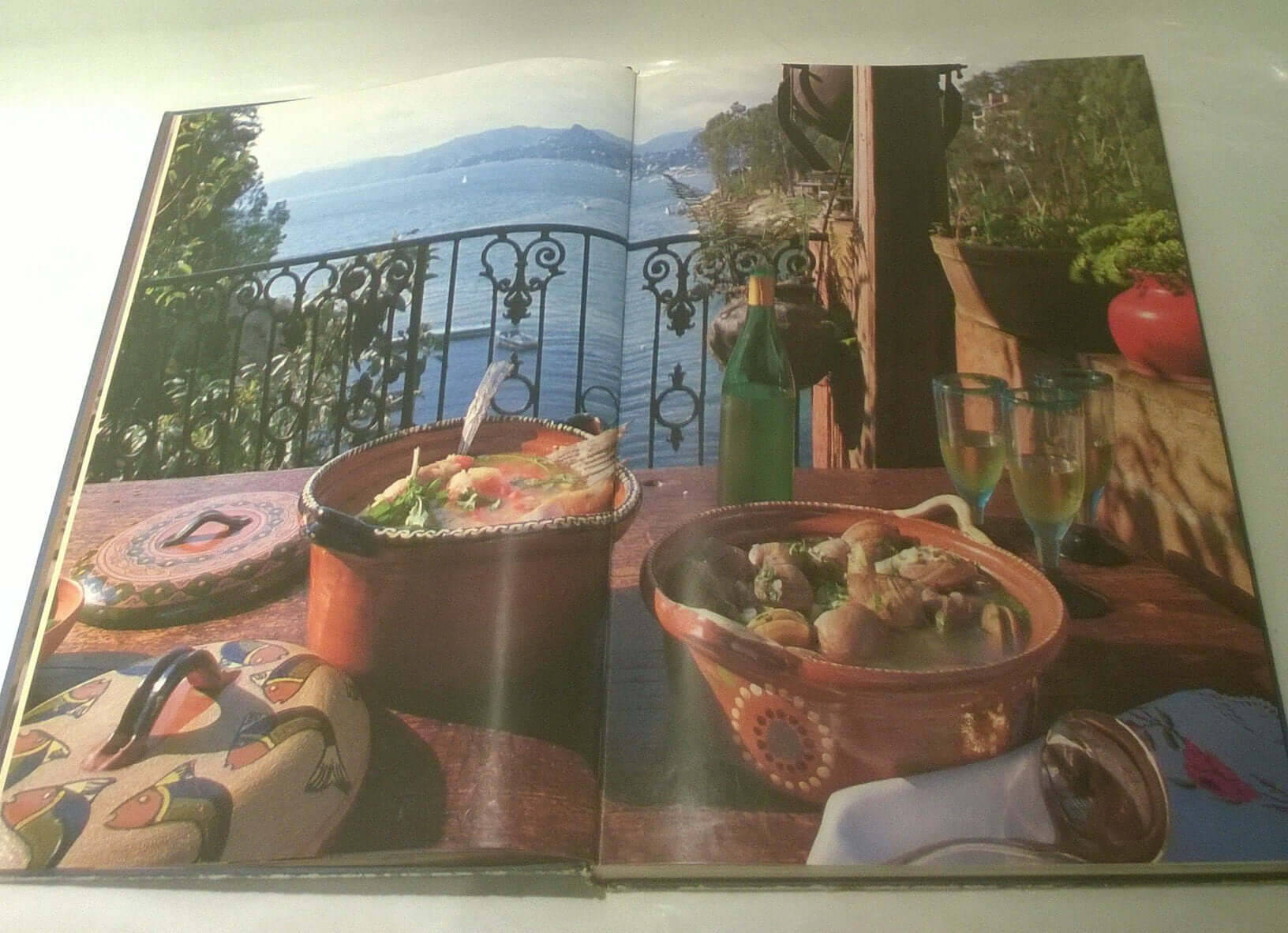 Mexico The Beautiful Cookbook: Authentic Recipes from the Regions of Mexico used book depot
