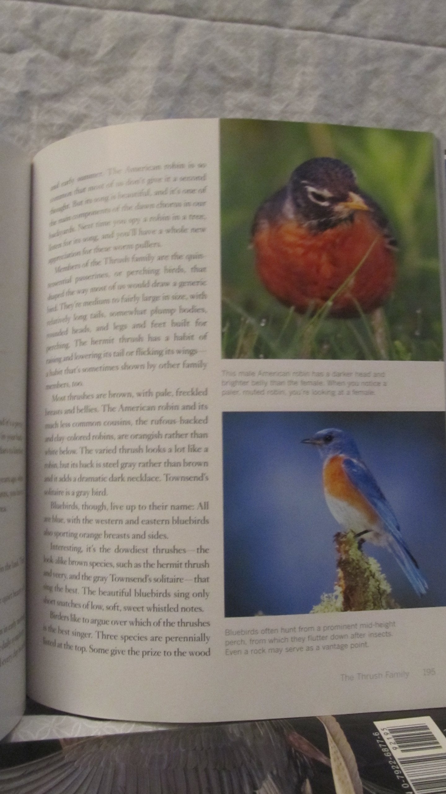 Rodale Books RODALE3113 Bird-by-Bird Gardening used book depot