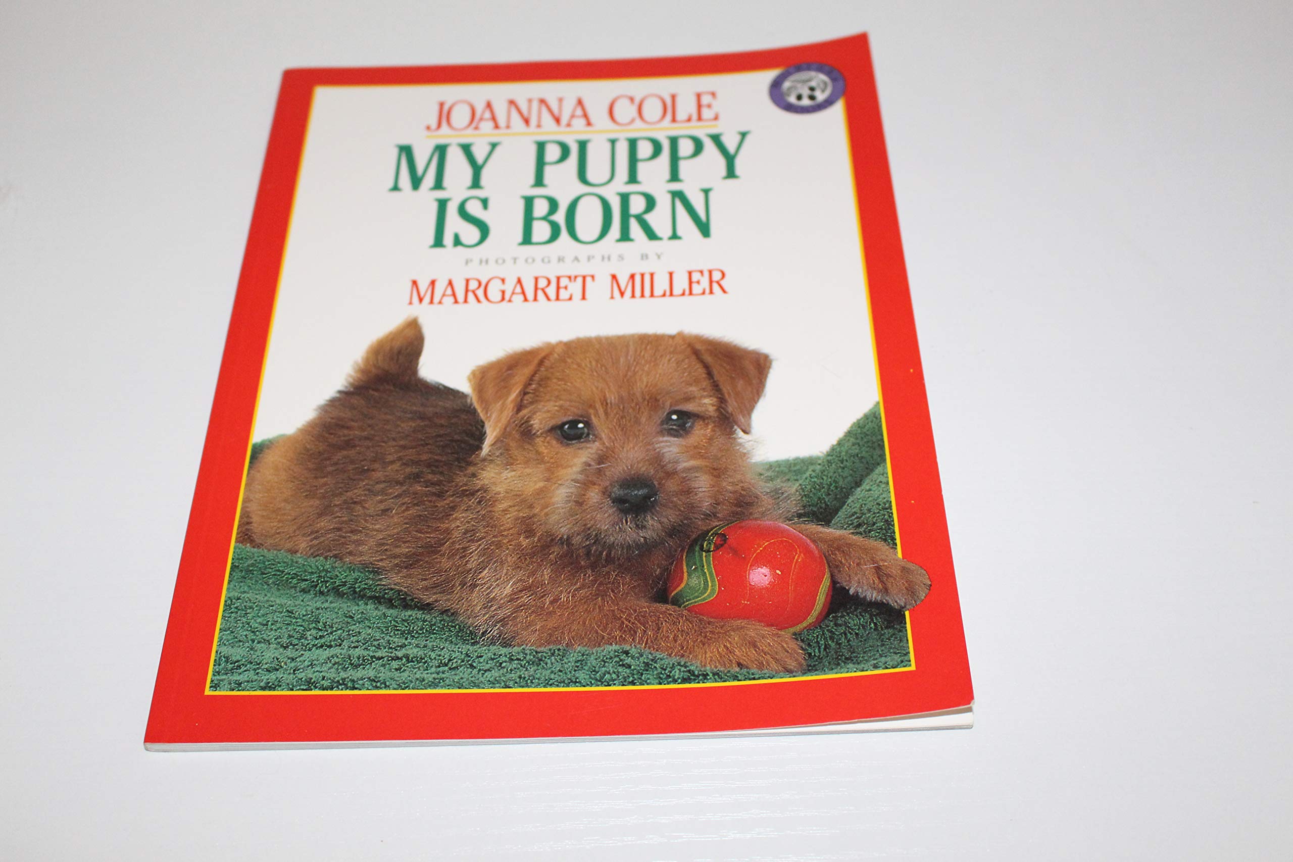 My Puppy Is Born used book depot