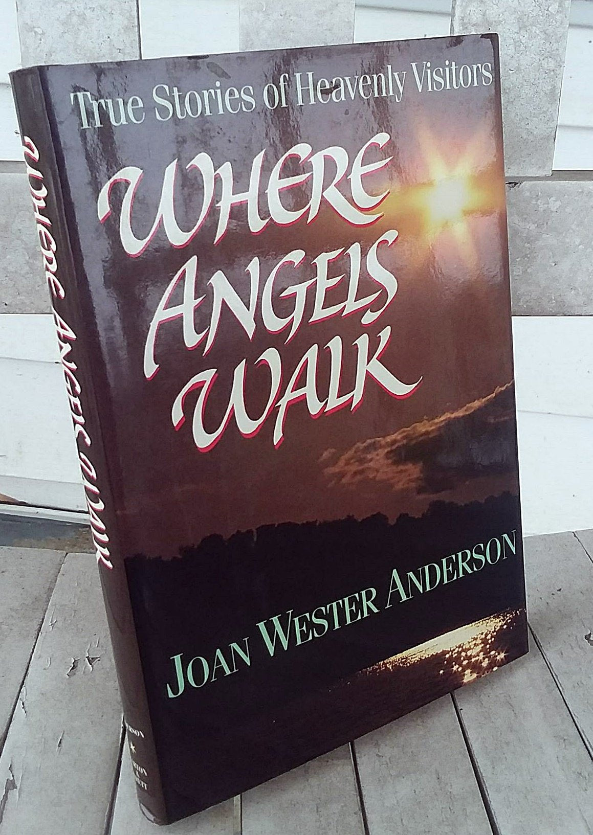 Where Angels Walk: True Stories of Heavenly Visitors used book depot