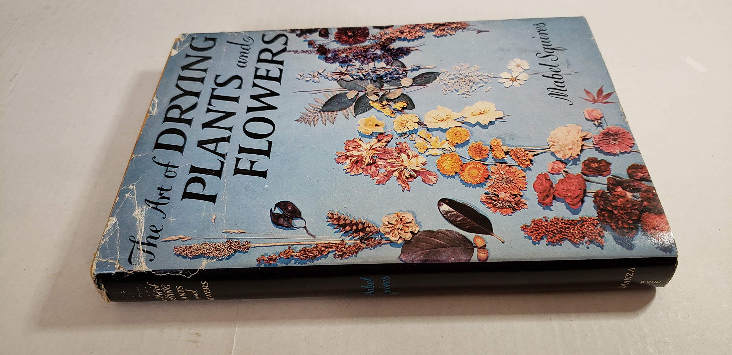 The Art Of Drying Plants & Flowers used book depot