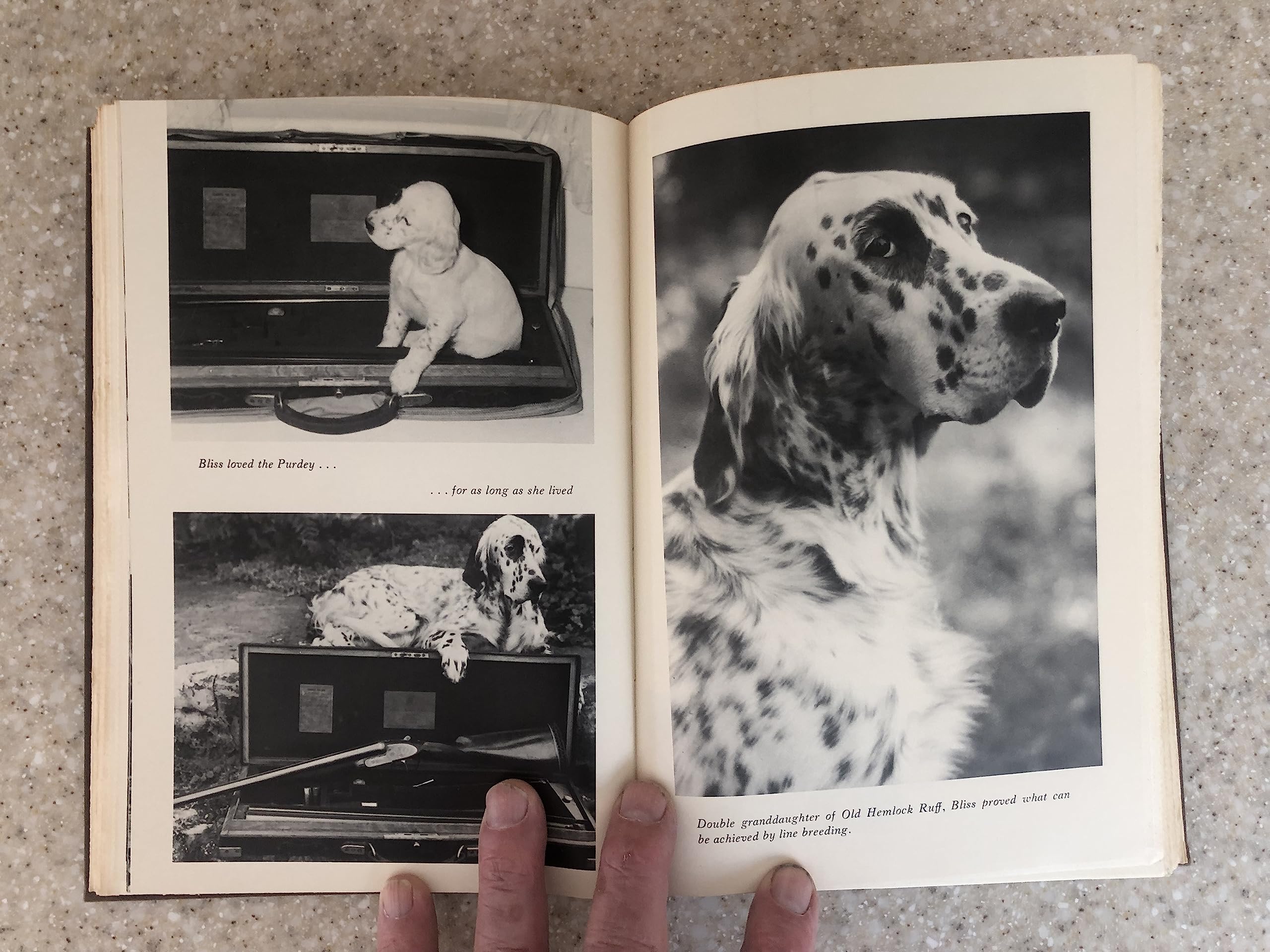 The Upland Shooting Life (1st Edition)