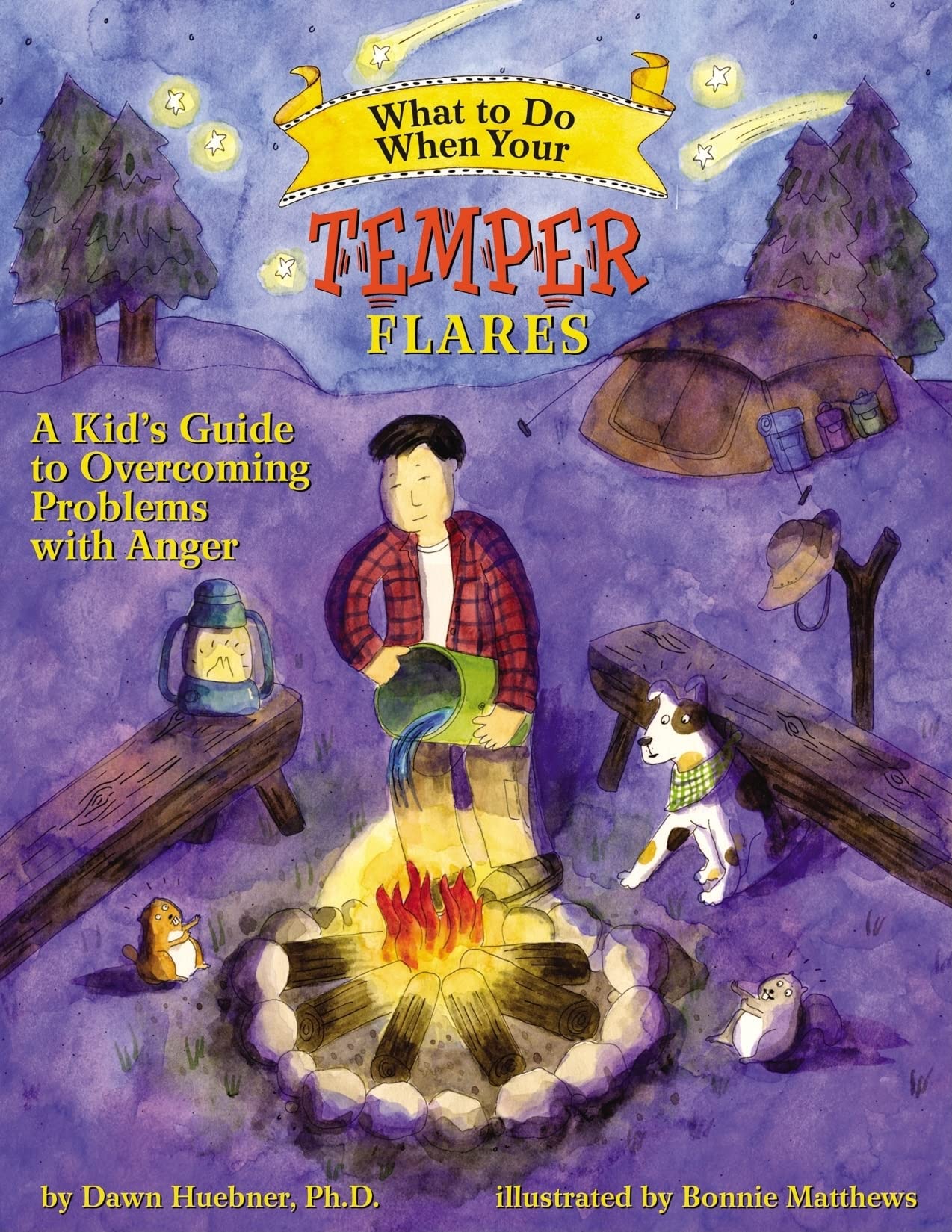 What to Do When Your Temper Flares: A Kid's Guide to Overcoming Problems With Anger (What-to-Do Guides for Kids Series) used book depot
