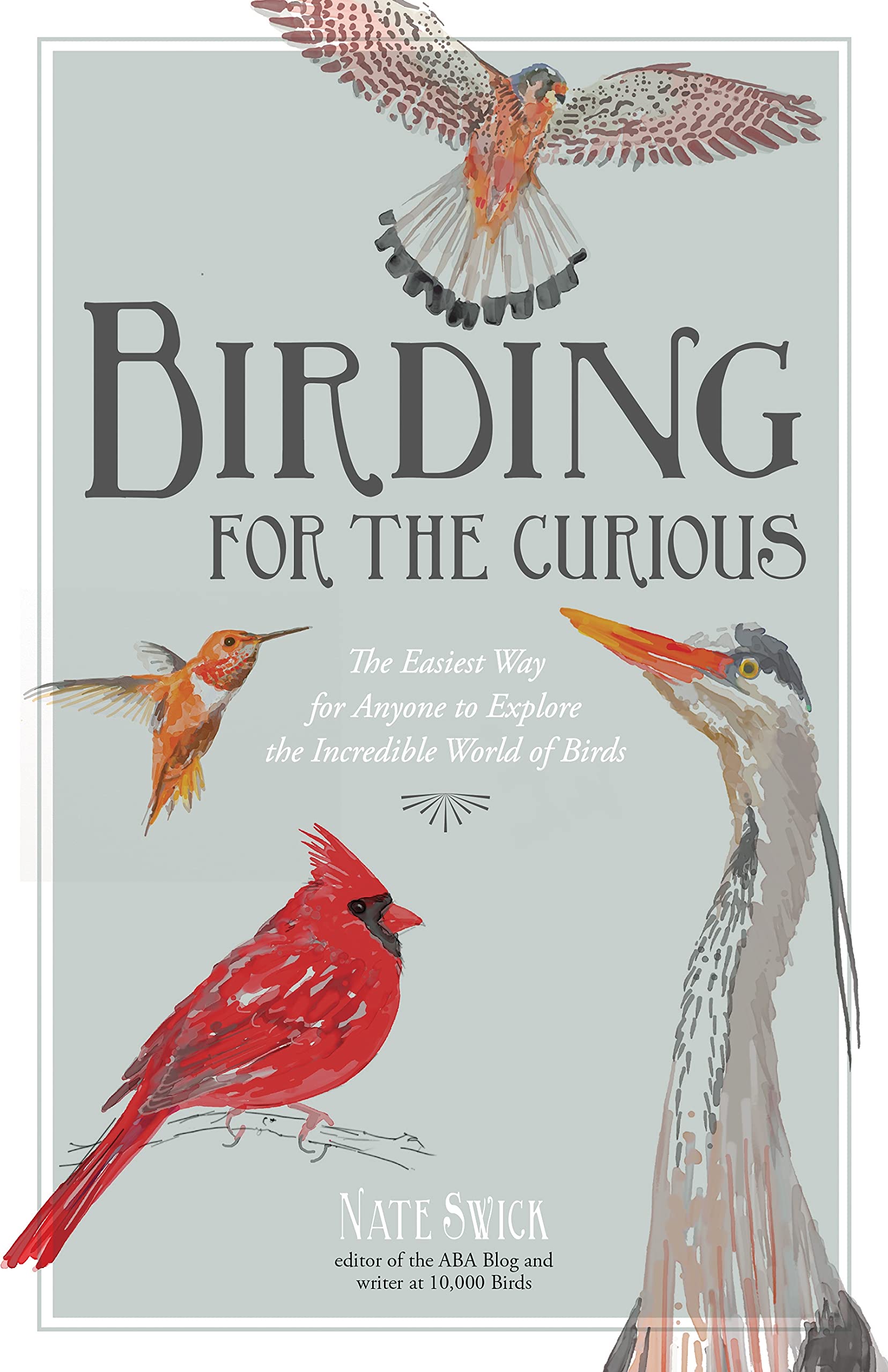 Birding for the Curious: The Easiest Way for Anyone to Explore the Incredible World of Birds used book depot