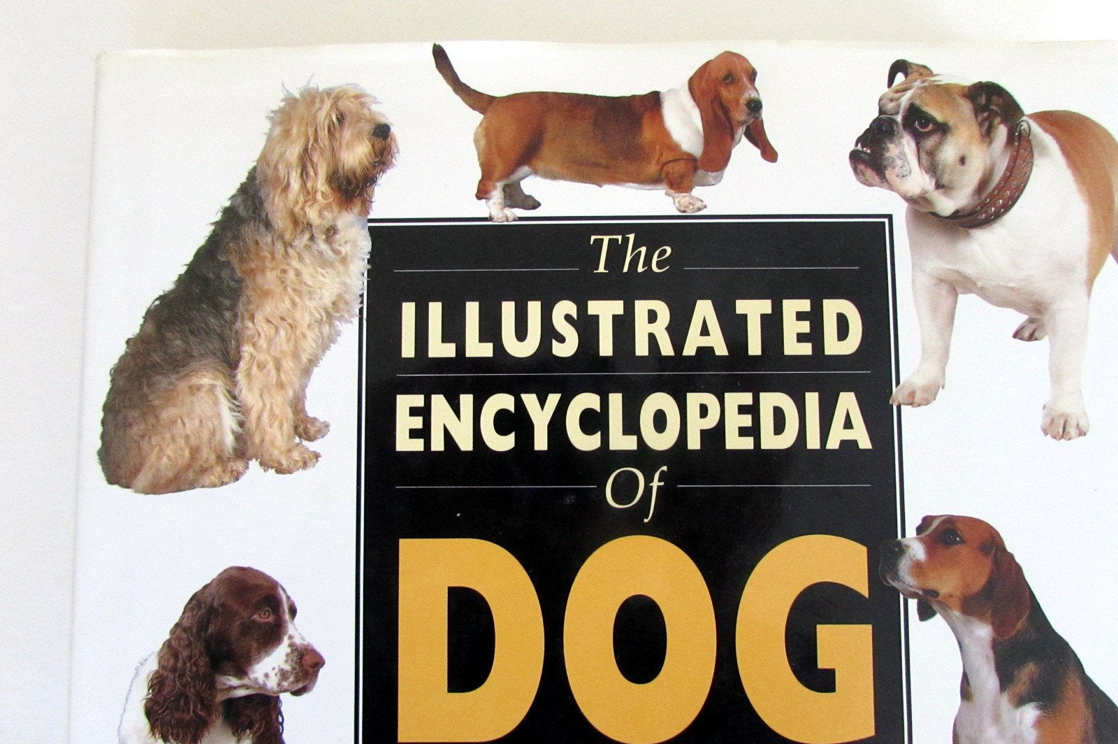 The Illustrated Encyclopedia of Dog Breeds used book depot