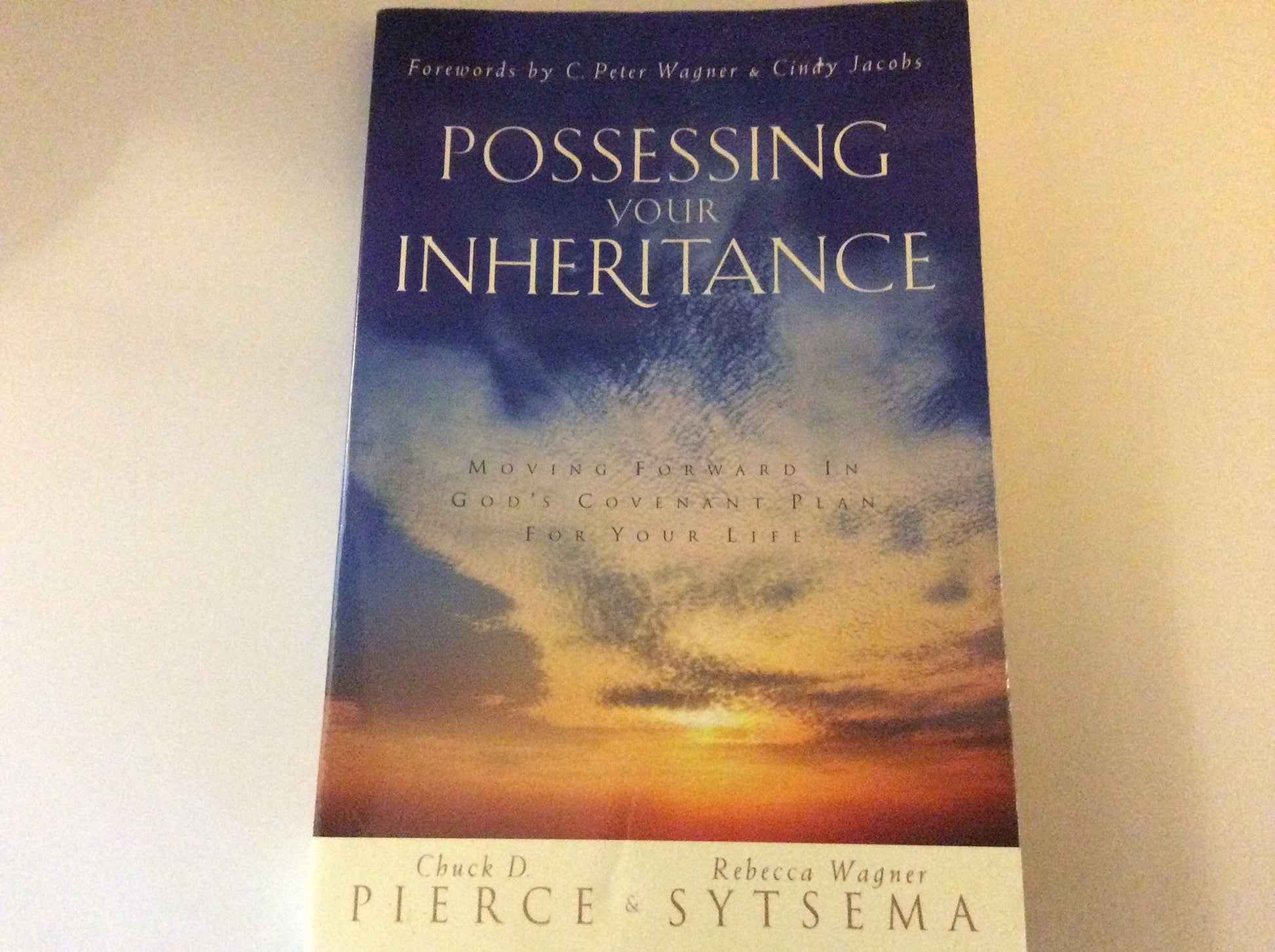 Possessing Your Inheritance: Moving Forward in God's Covenant Plan for Your Life used book depot