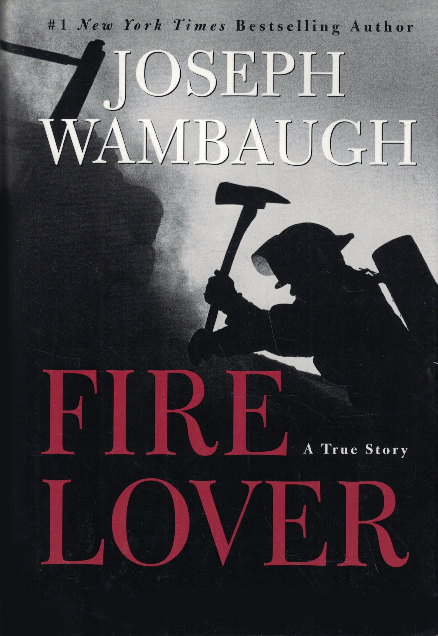 Fire Lover: A True Story used book depot