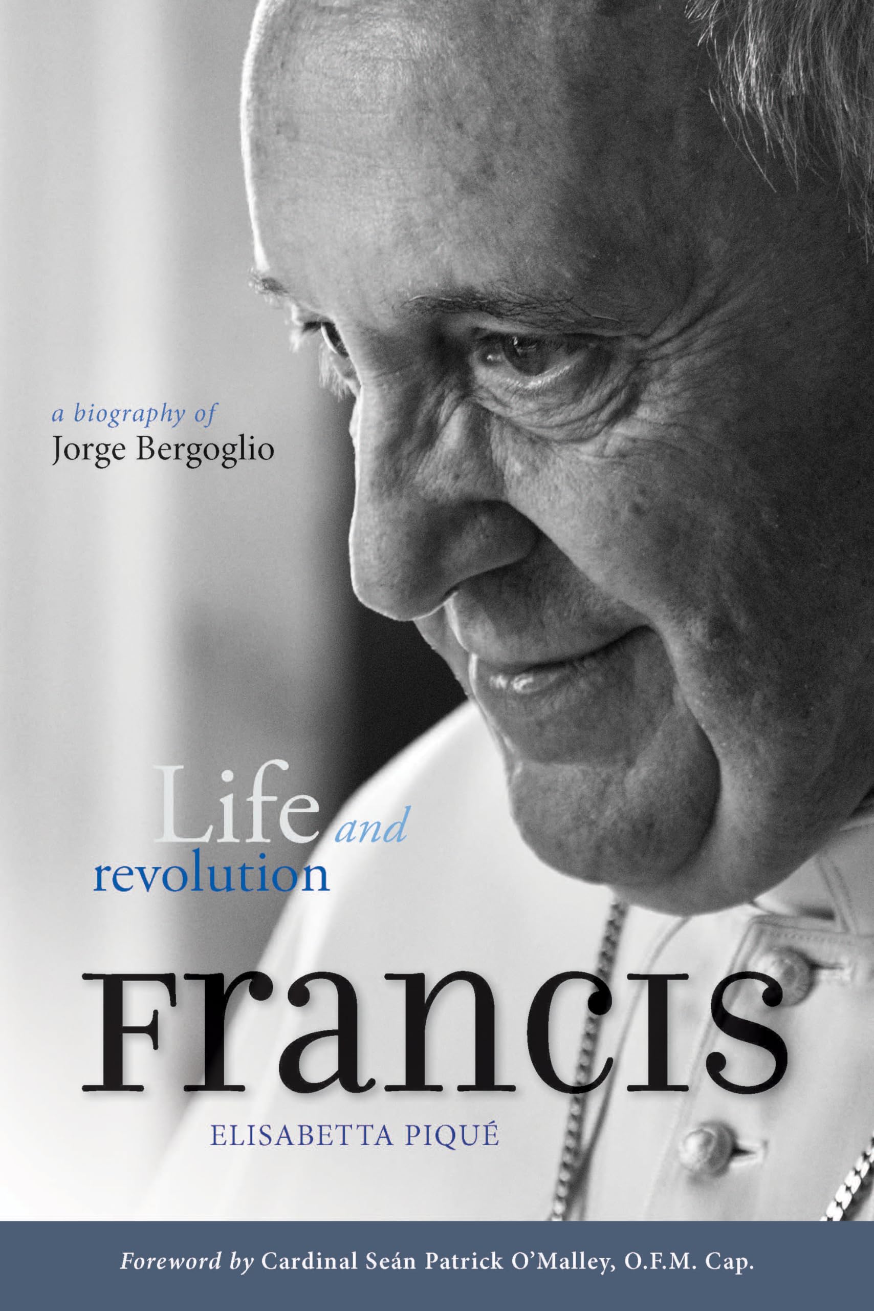 Pope Francis: Life and Revolution: A Biography of Jorge Bergoglio used book depot
