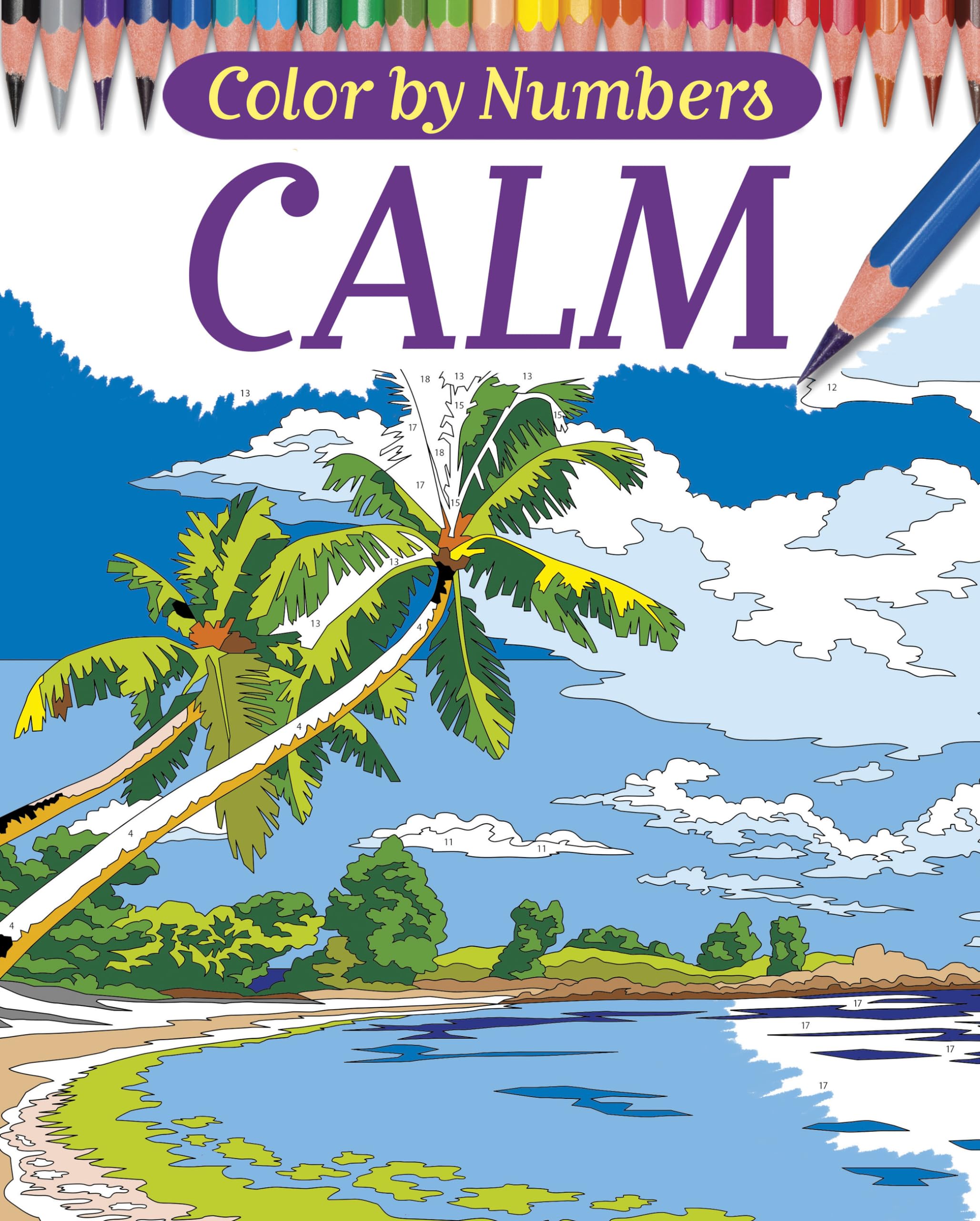 Color By Numbers - Calm (Chartwell Coloring Books) used book depot