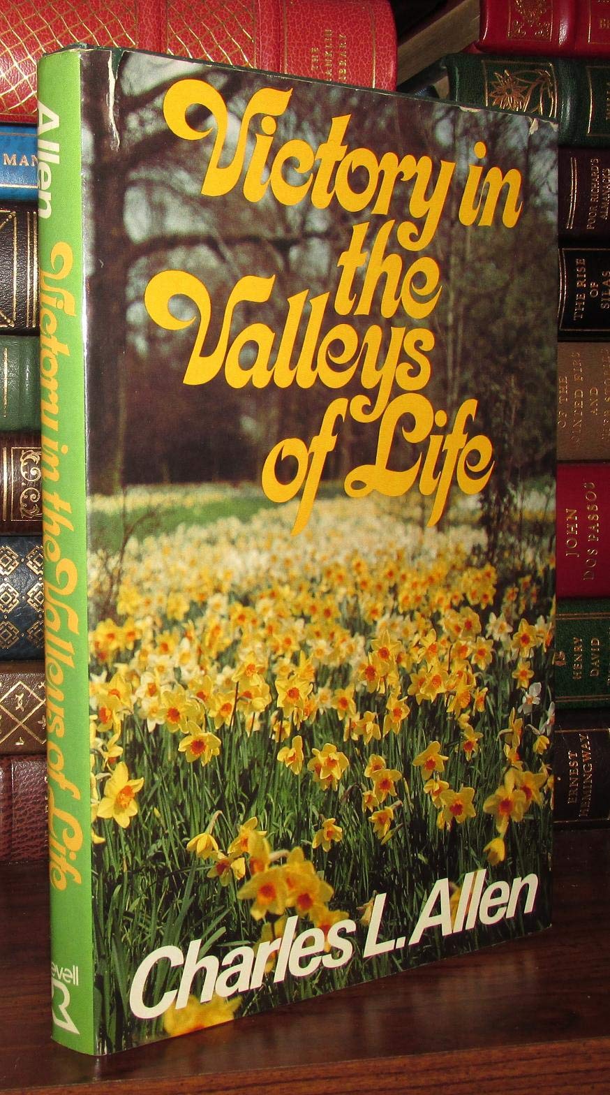 Victory in the Valleys of Life used book depot